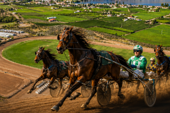 Live Racing Calendar - Desert Park Raceway, Osoyoos