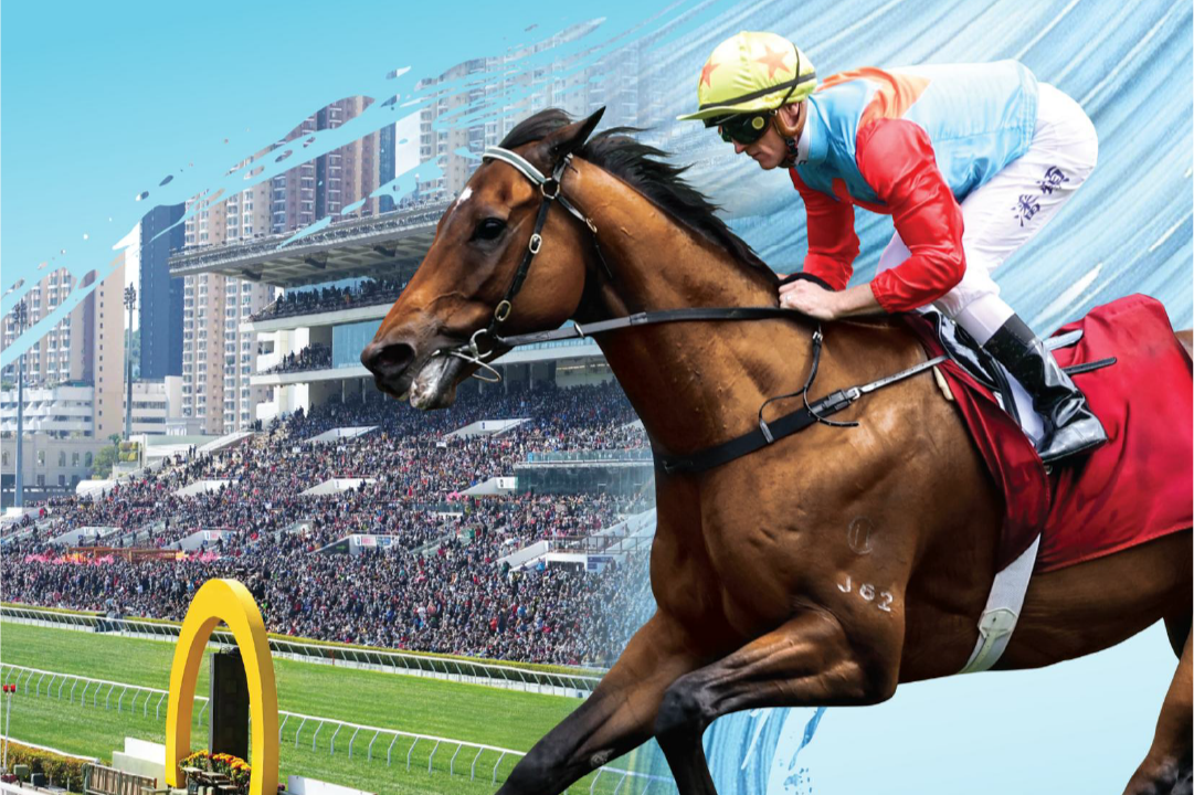 [FREE PROGRAMS] Sha Tin - September 12
