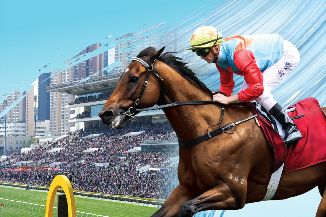 [FREE PROGRAMS] Sha Tin - October 10
