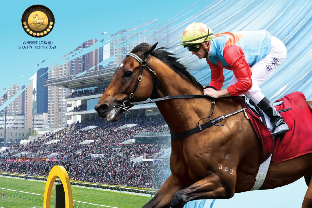 [FREE PROGRAMS] Sha Tin - October 18 