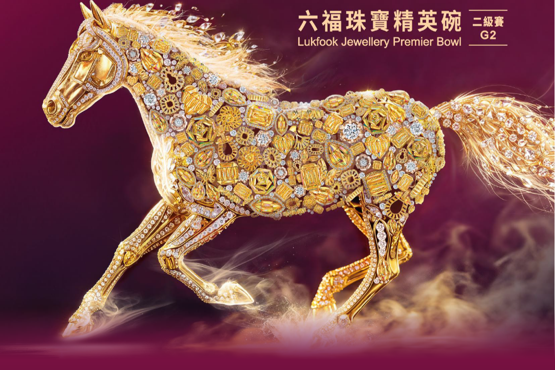 [Free Programs] Sha Tin - October 24