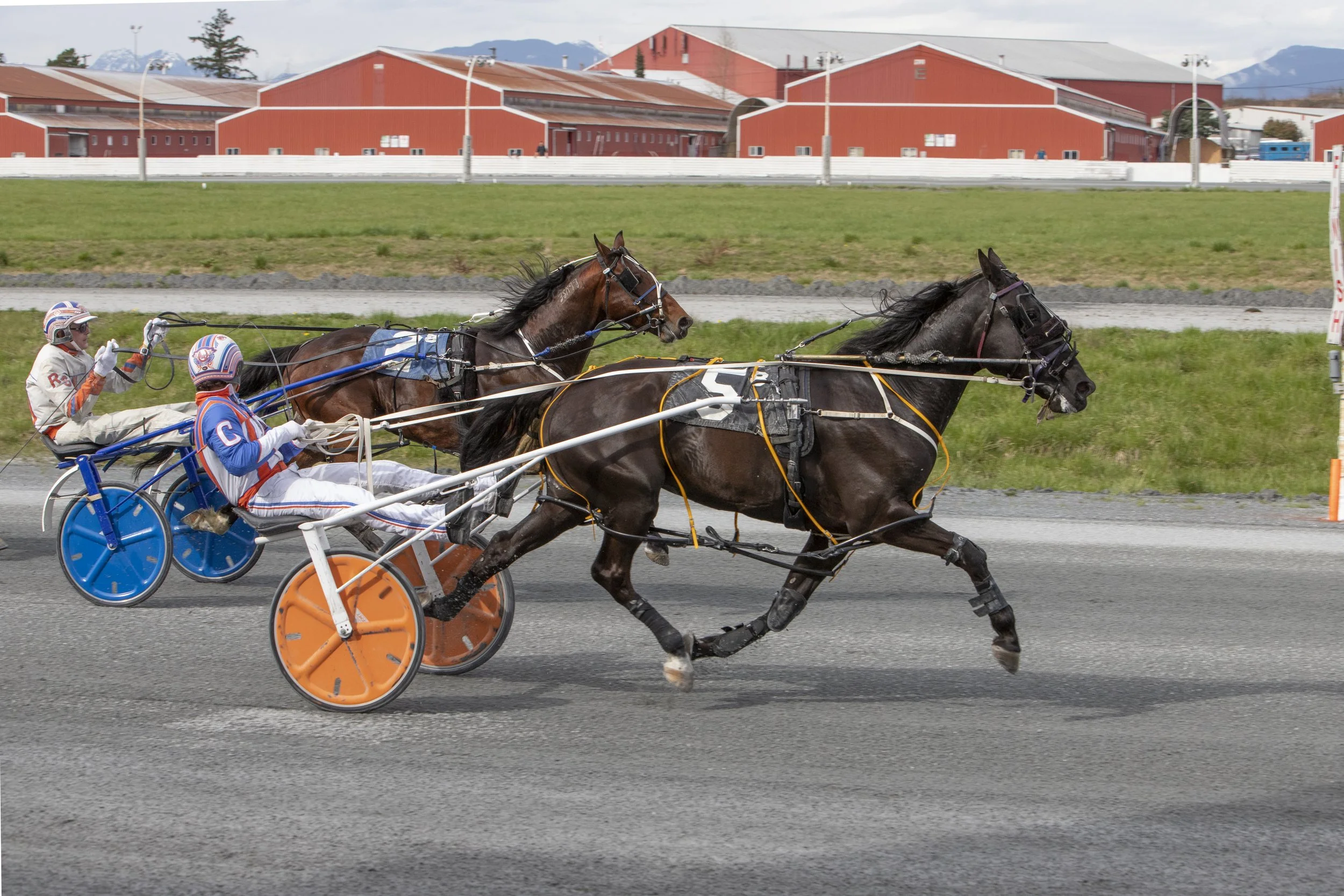 Fraser Downs Concludes 2023 Race Meet with Remarkable Success — BC RACEBOOK
