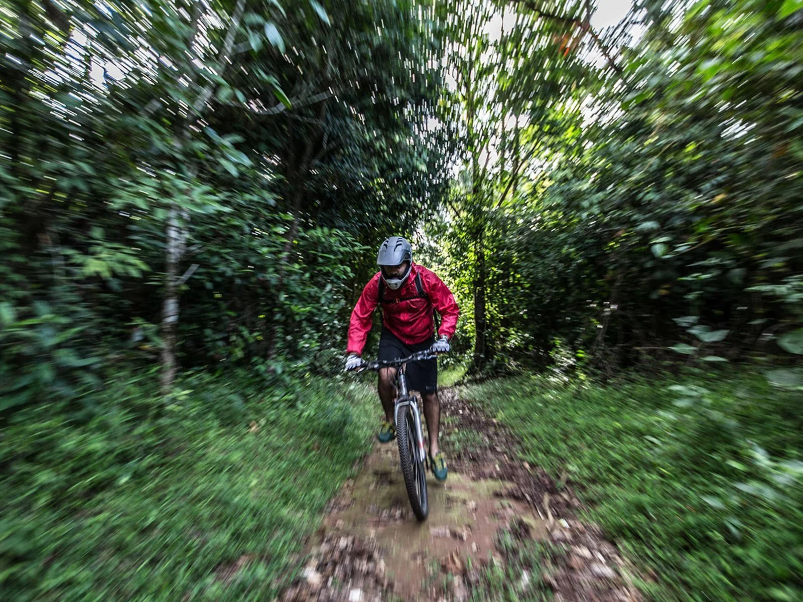 Track and Trail