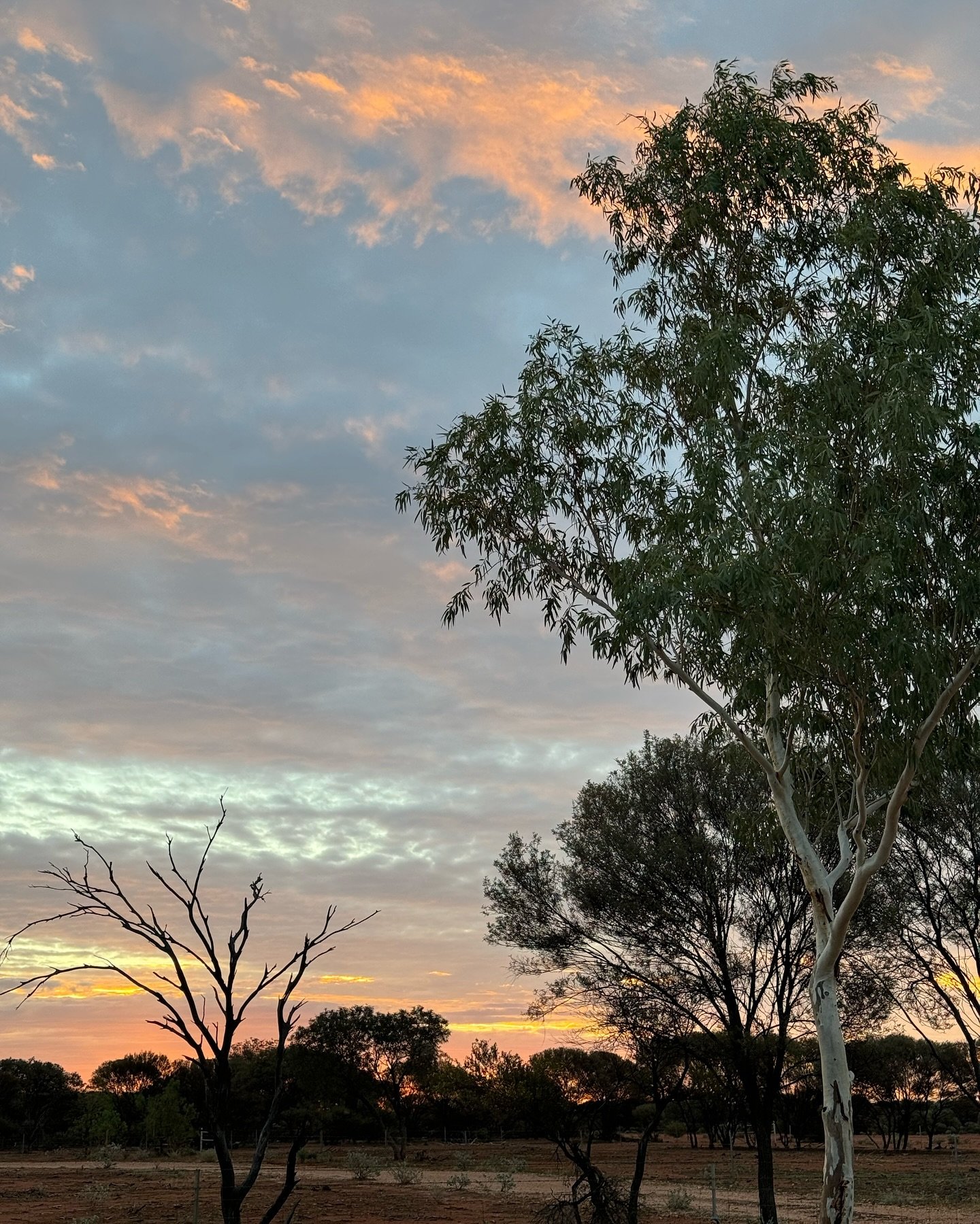 Outback sunsets for the next work week @visitnallan 

#nallanstation #westernaustralia #boldtypecreative