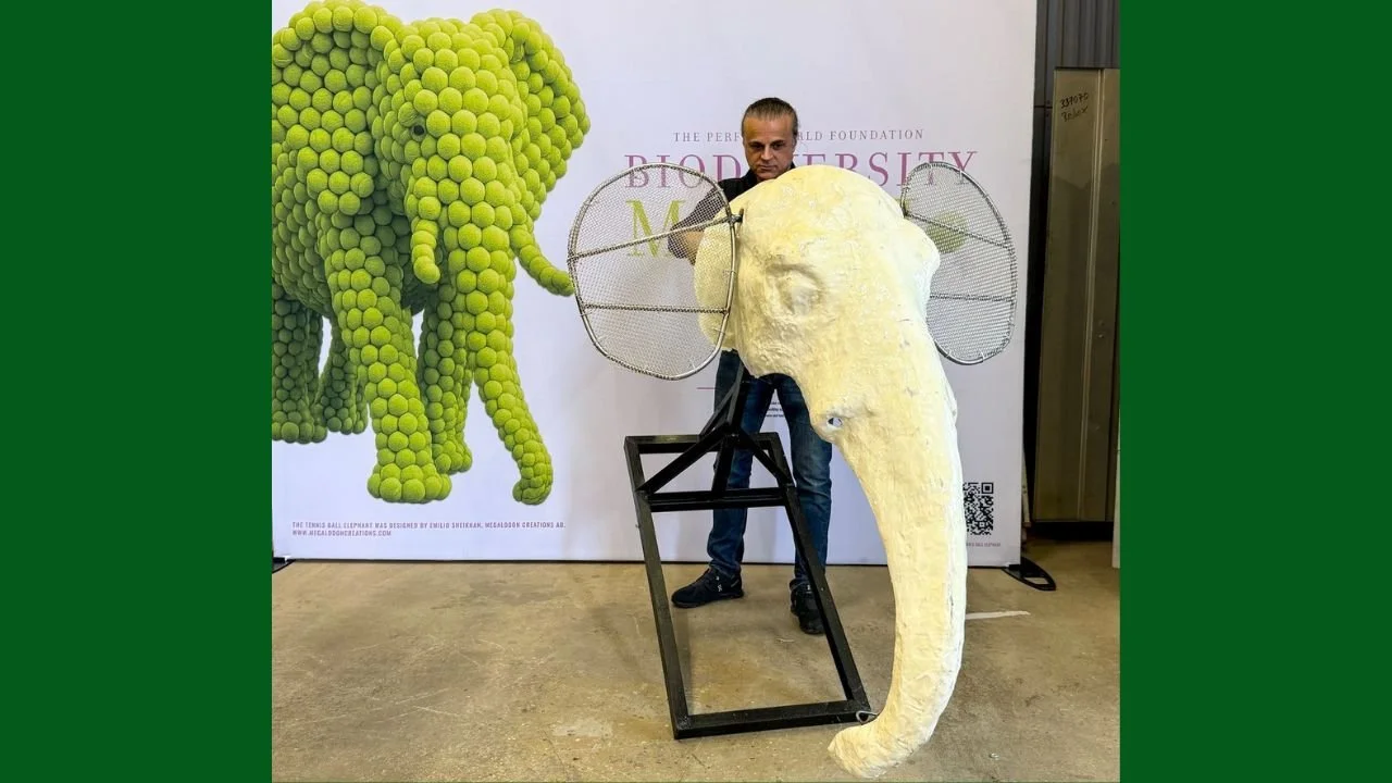 En elefant av tennisbollar – för barn och djur i perfekt match