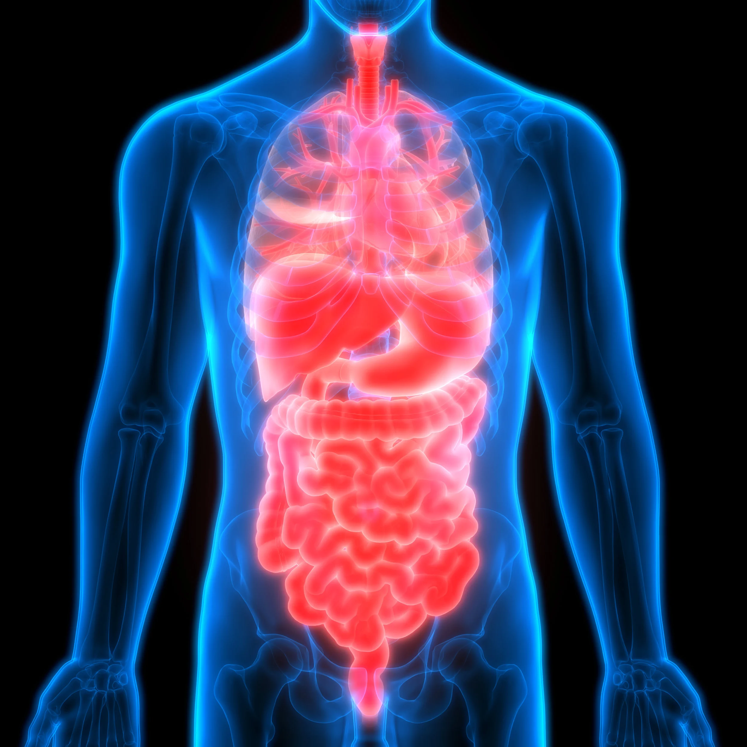 1 Day Ticket Illness 3rd September 2026