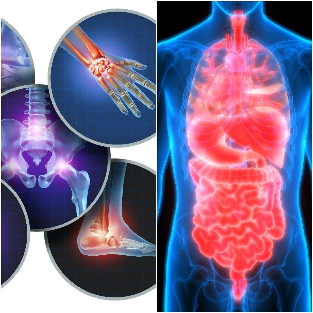 2 Day Ticket -  Illness and Injury -  3rd and 4th September 2026