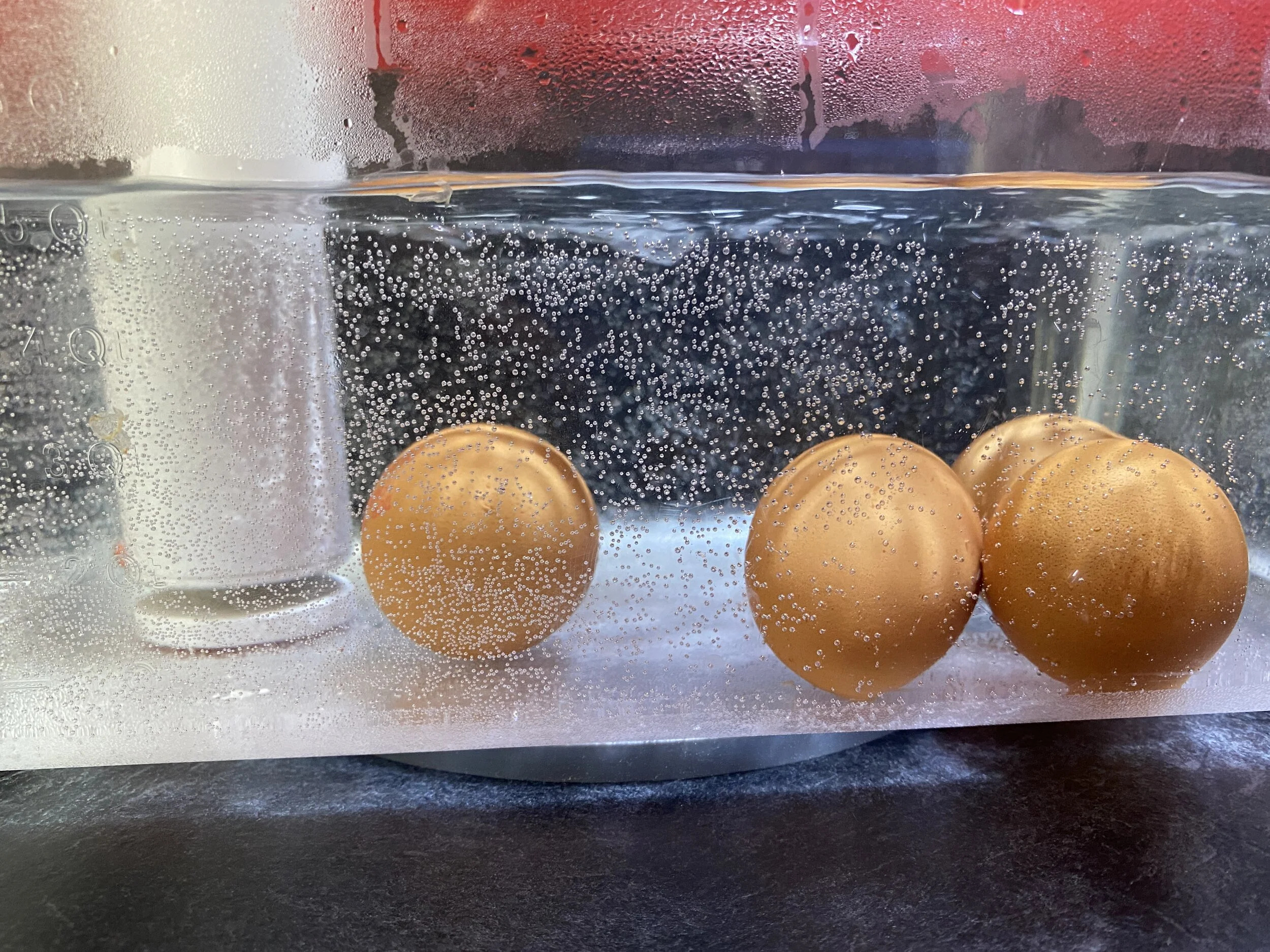 Cuisson des oeufs au thermoplongeur