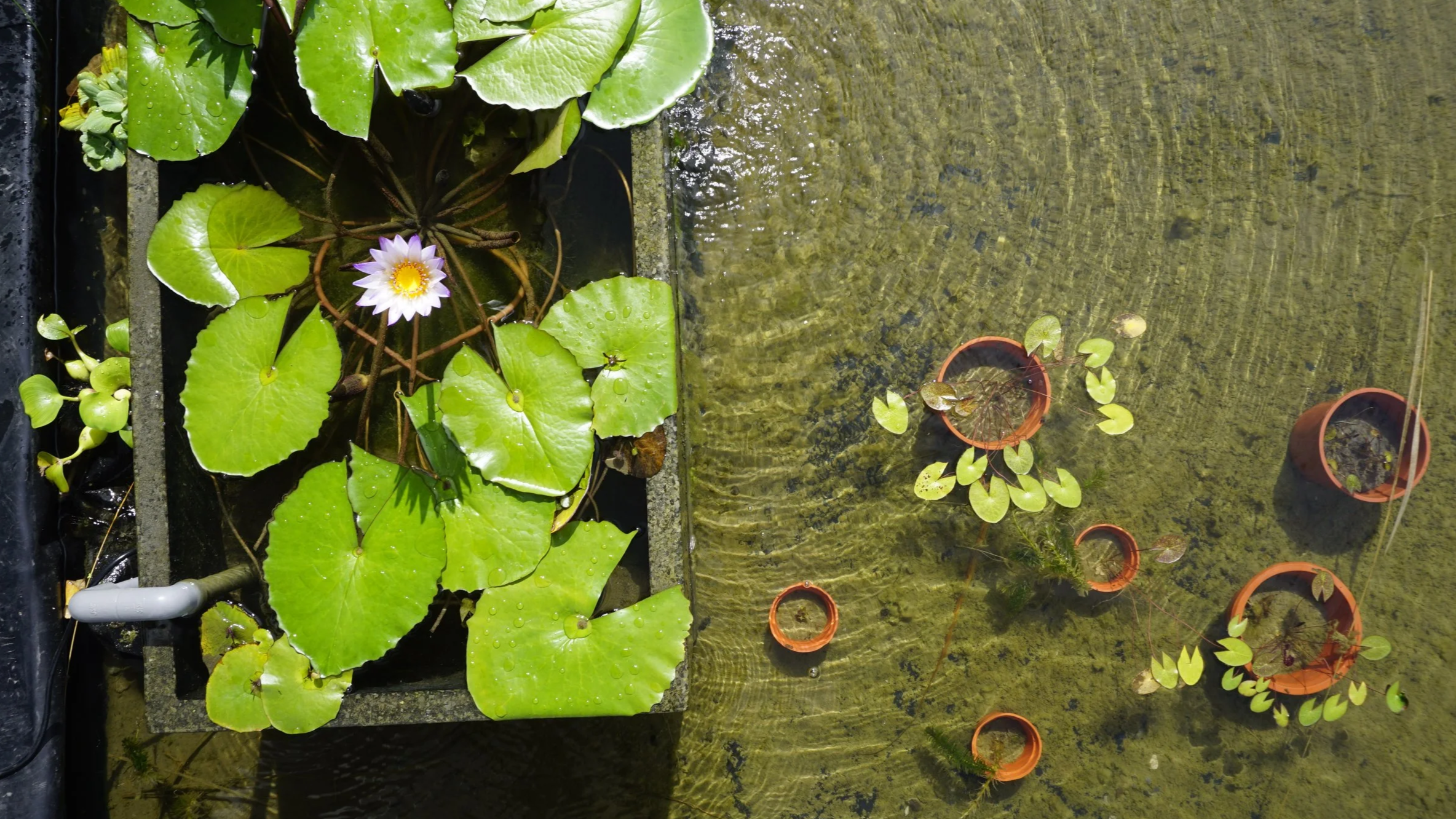 水系統