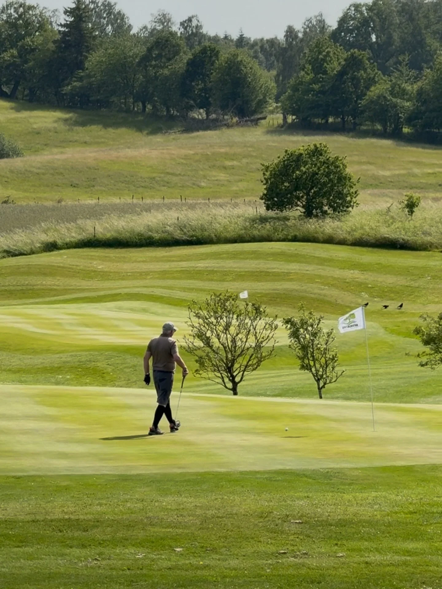 Der Platz und die Driving Range sind voll geöffnet, also buchen Sie Ihr nächstes Spiel über mingolf 🏌️♂️. Und viel Spaß bei der Runde!