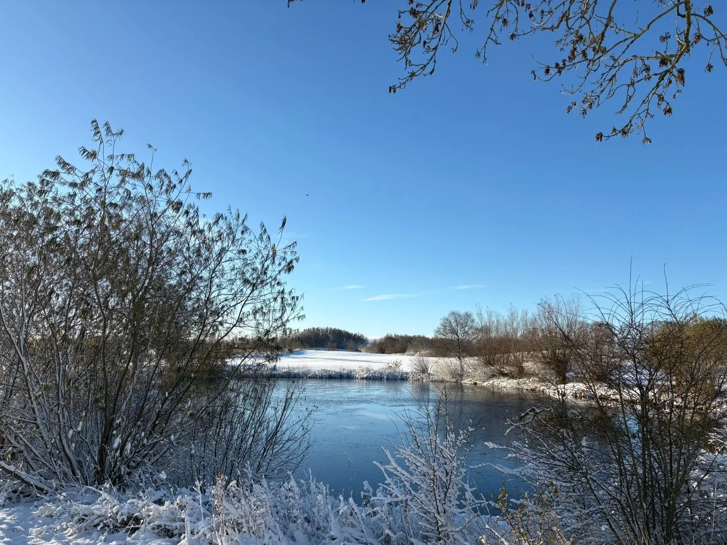 Beroende p&aring; v&auml;der &ouml;ppnar vi banan med kort varsel! Information om aktuell banstatus hittar du p&aring; Facebook eller p&aring; hemsidan www.naturligtvisgcc.se 
H&aring;ll utkik d&auml;r! 🤿