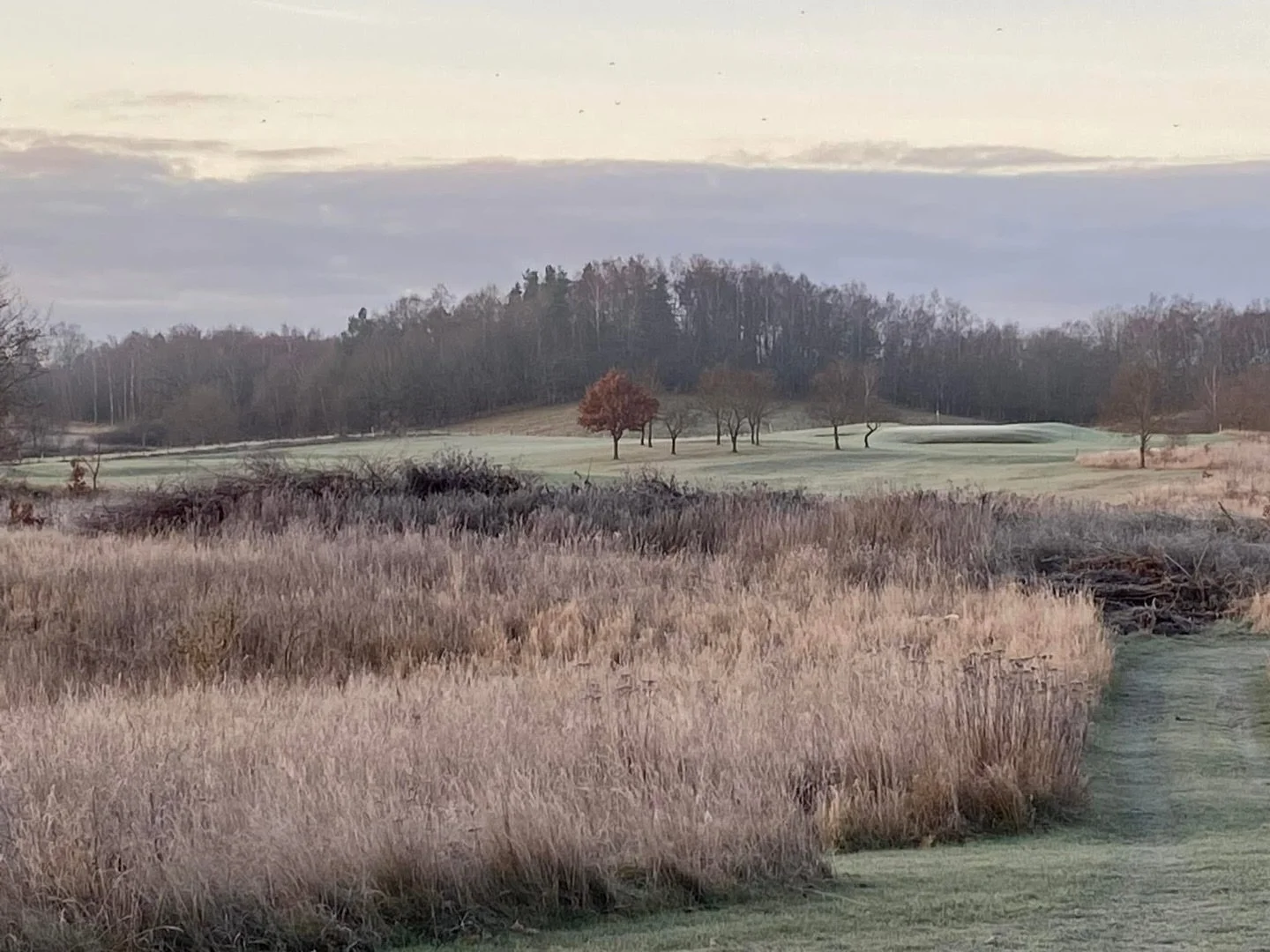 JULKLAPPSTIPS 🎁

Ge bort en present som verkligen kommer till nytta OCH ger otroligt med n&ouml;je!

Vi har ett nytt medlemskap -  RONDMEDLEM 
⬇️

Teckna 1 &aring;rs medlemsskap med 5 fria rundor f&ouml;r 1595kr

⛳️ Du s&auml;krar ett medlemsskap he