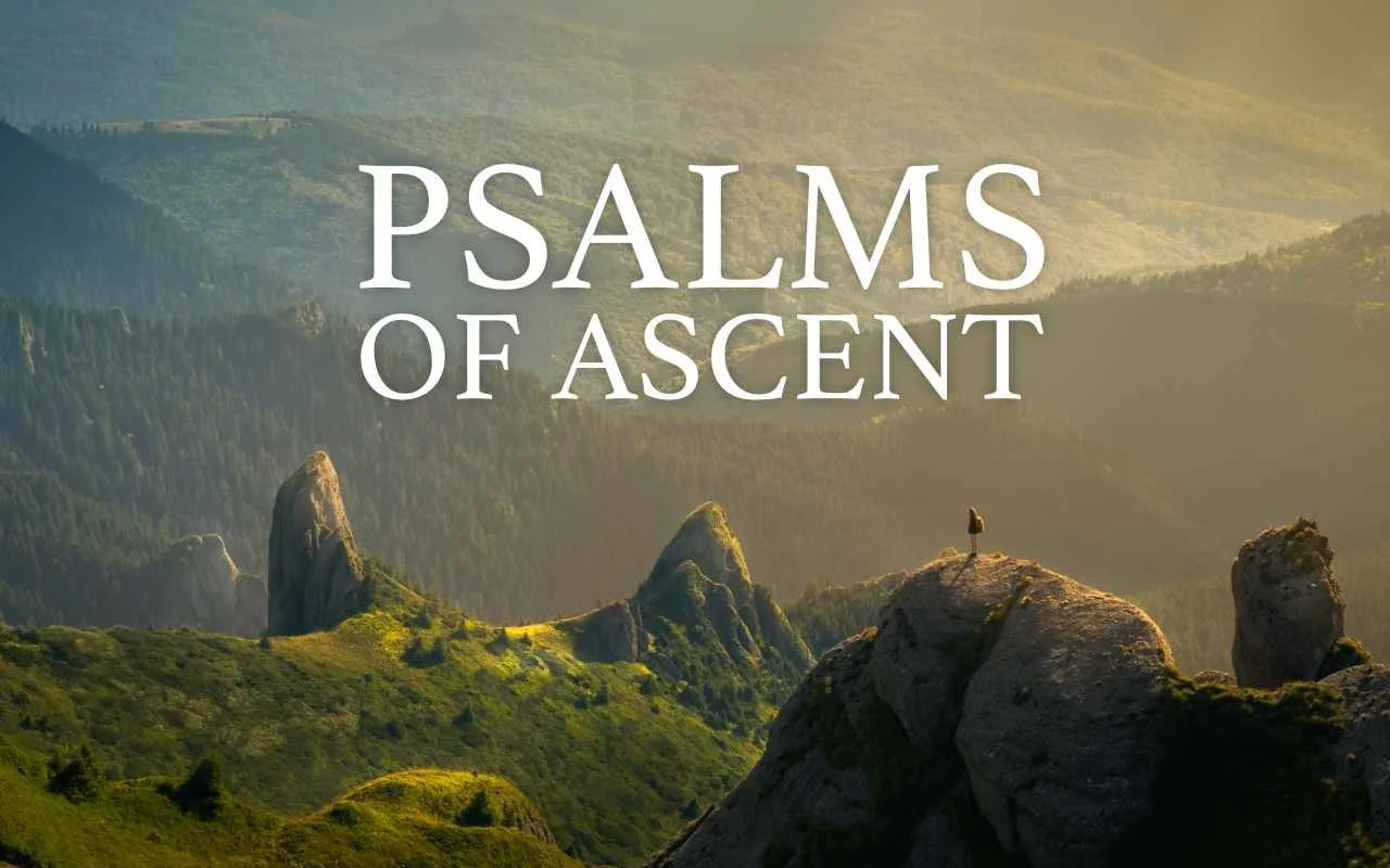 Psalm 131 episode artwork