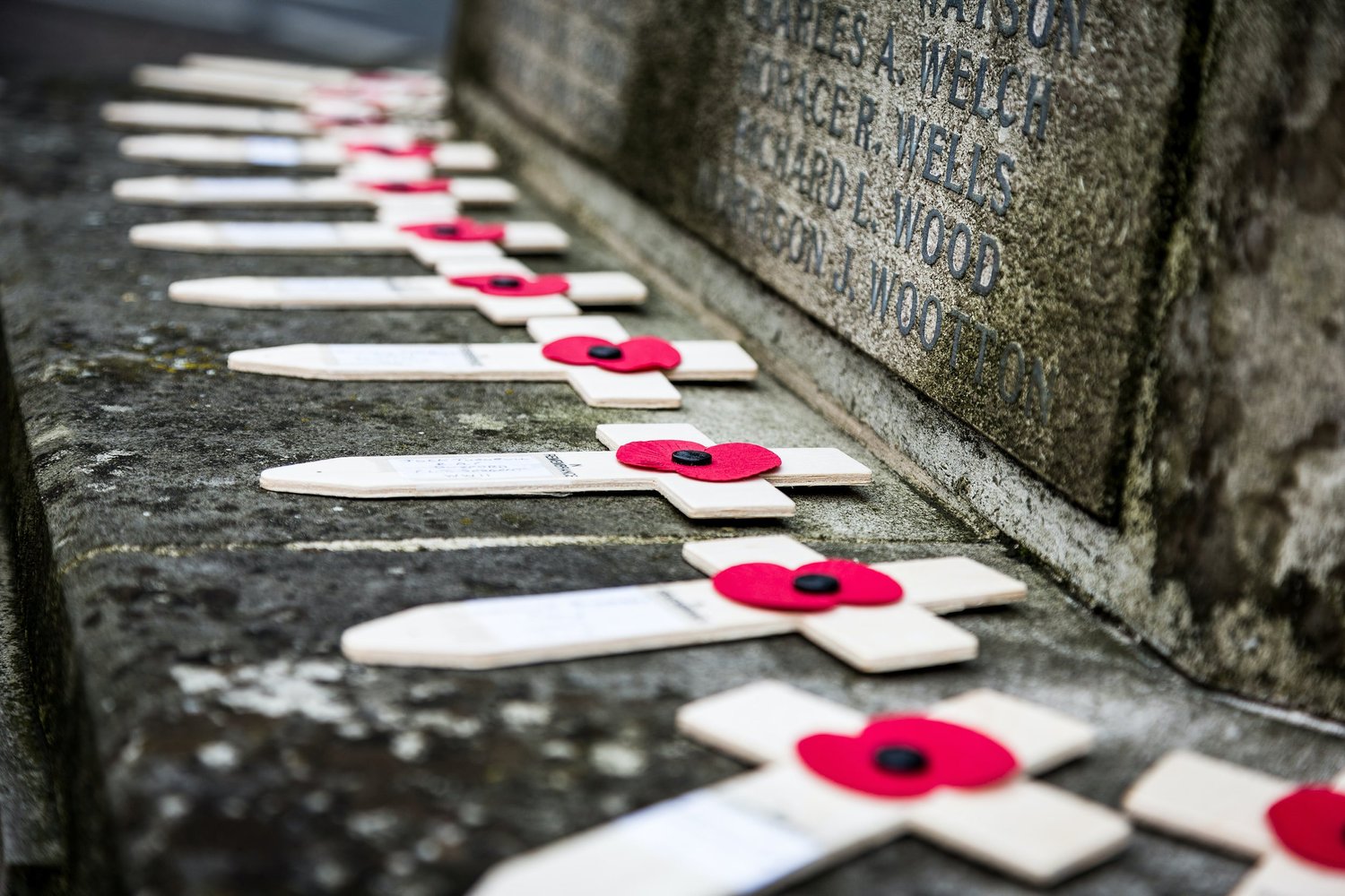 Remembrance Sunday 2023 episode artwork