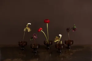 ASHLEE LOUISE STUDIO