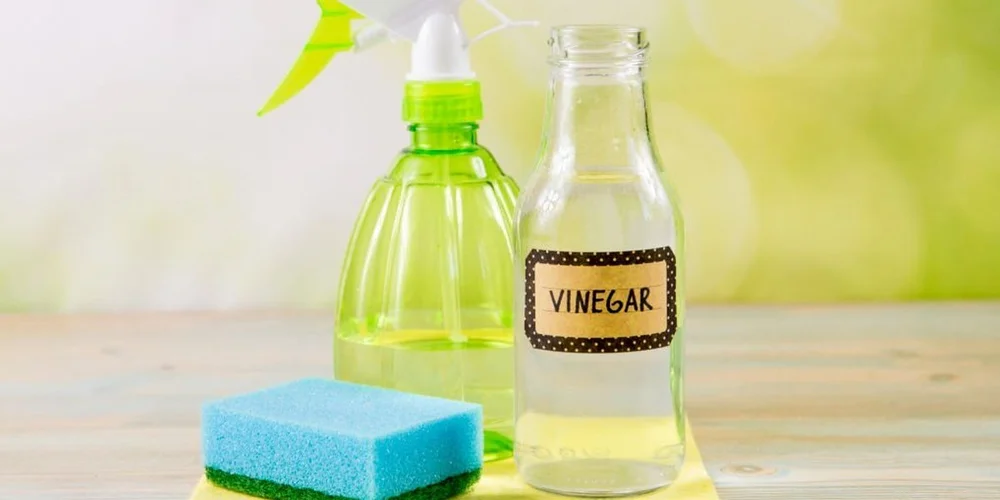 How to Get Rid of Stains with Vinegar? Does it work for REAL? — NimNim