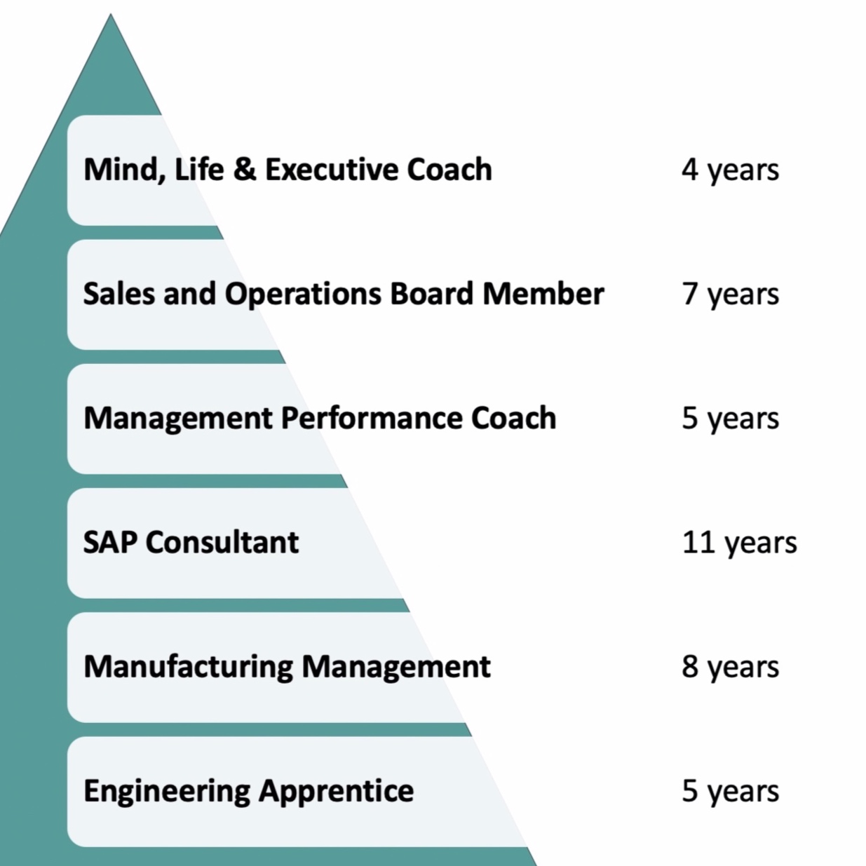 Career Summary