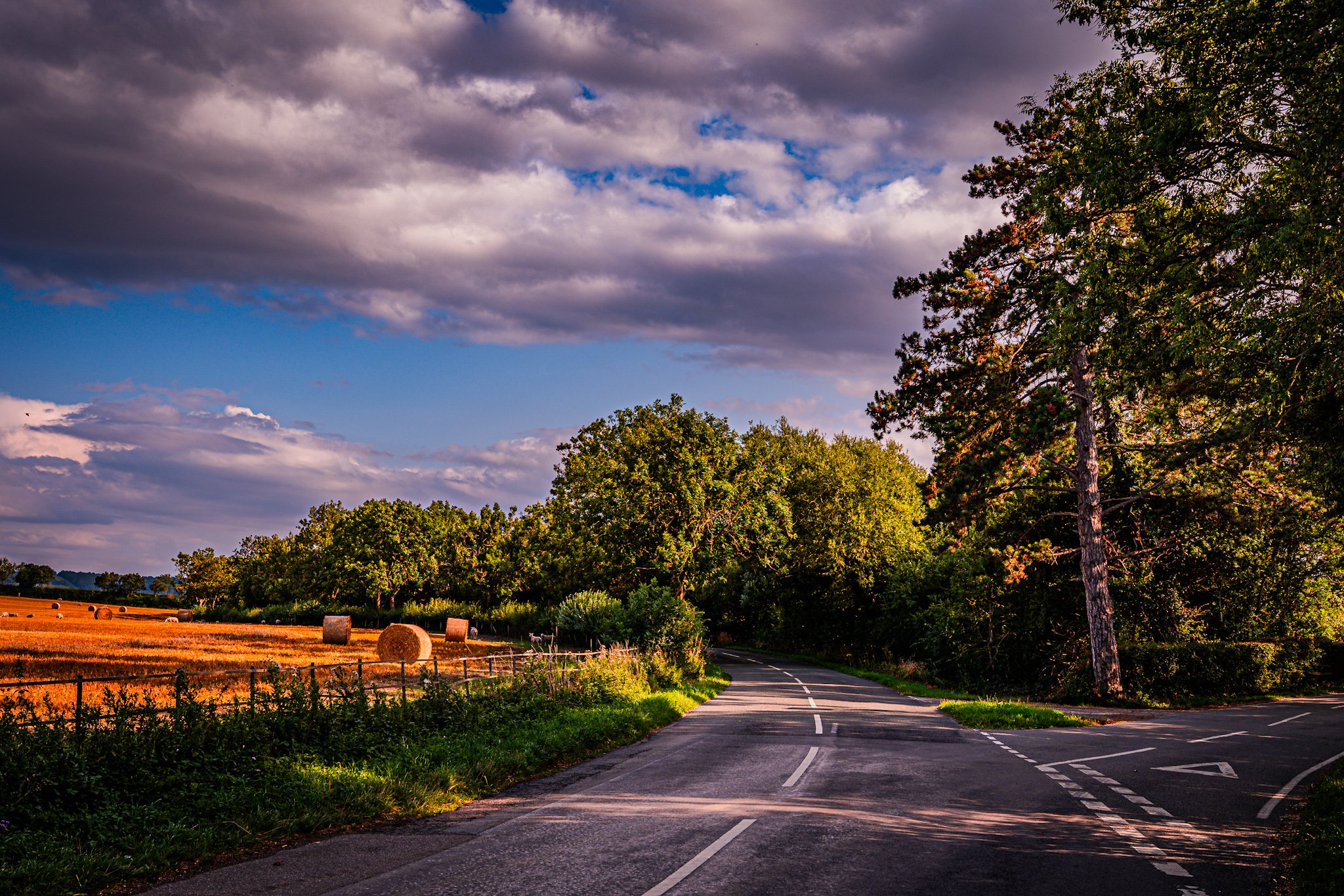 How My Blog Answers The One Question I’ve Been Asking For 30 Years.  