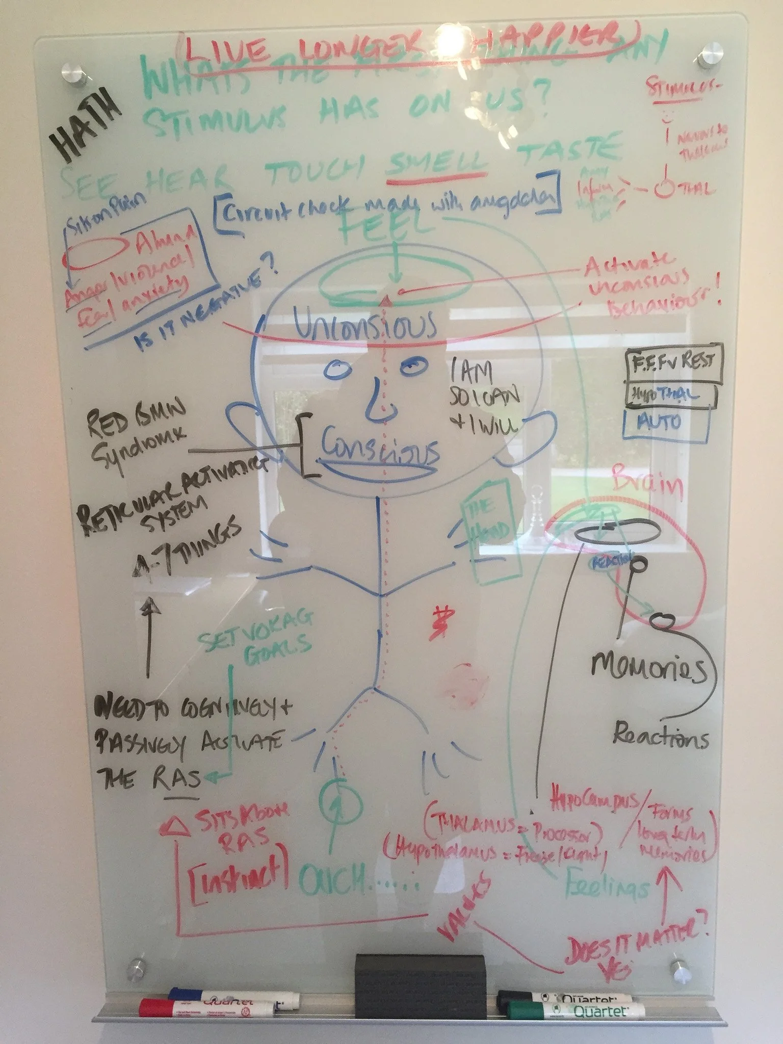 Whiteboard sketch of a working model of the mind — conscious mind, limbic system, and memory mapped around a head diagram