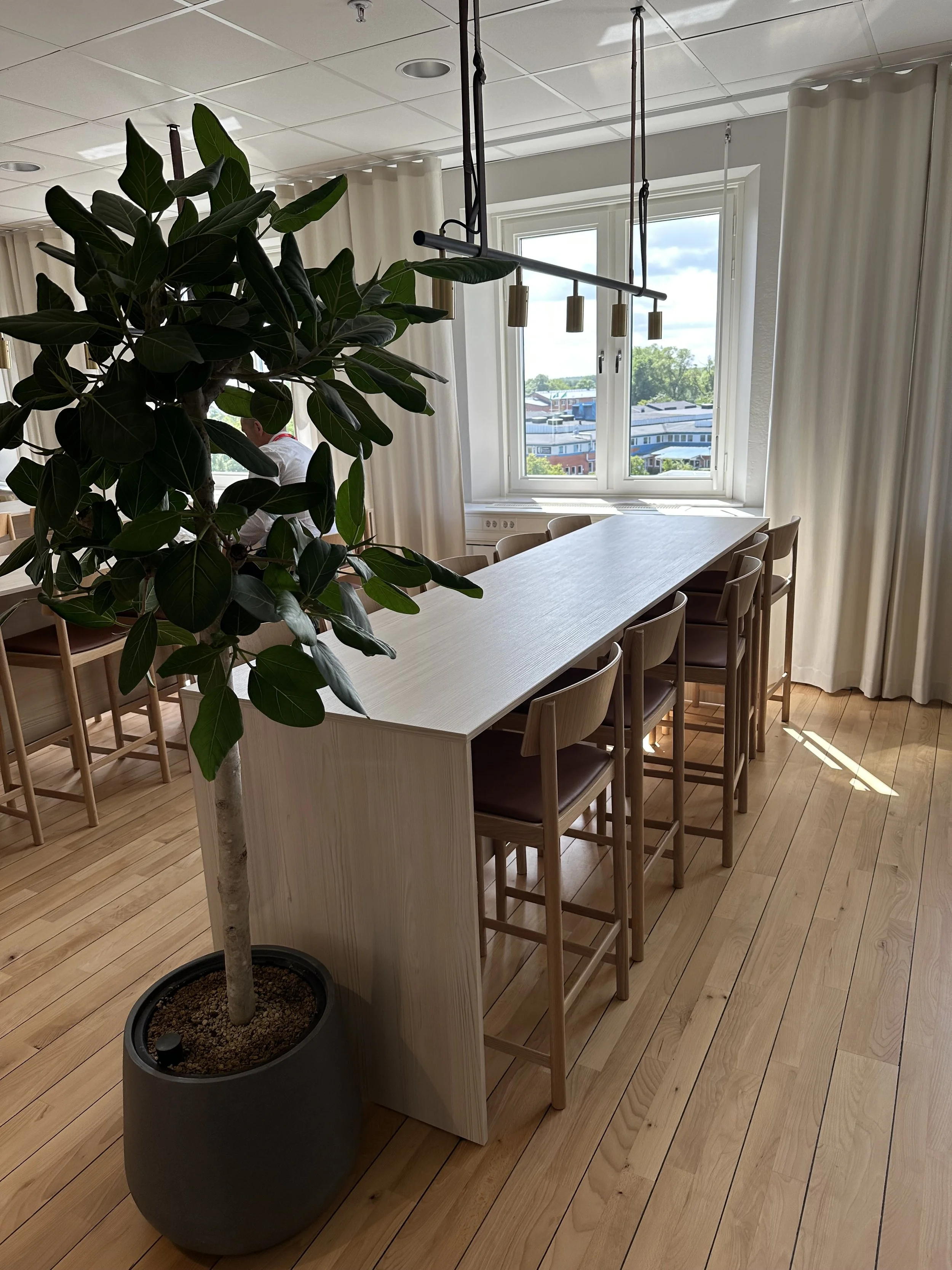 Bistro med gardiner 1.jpeg