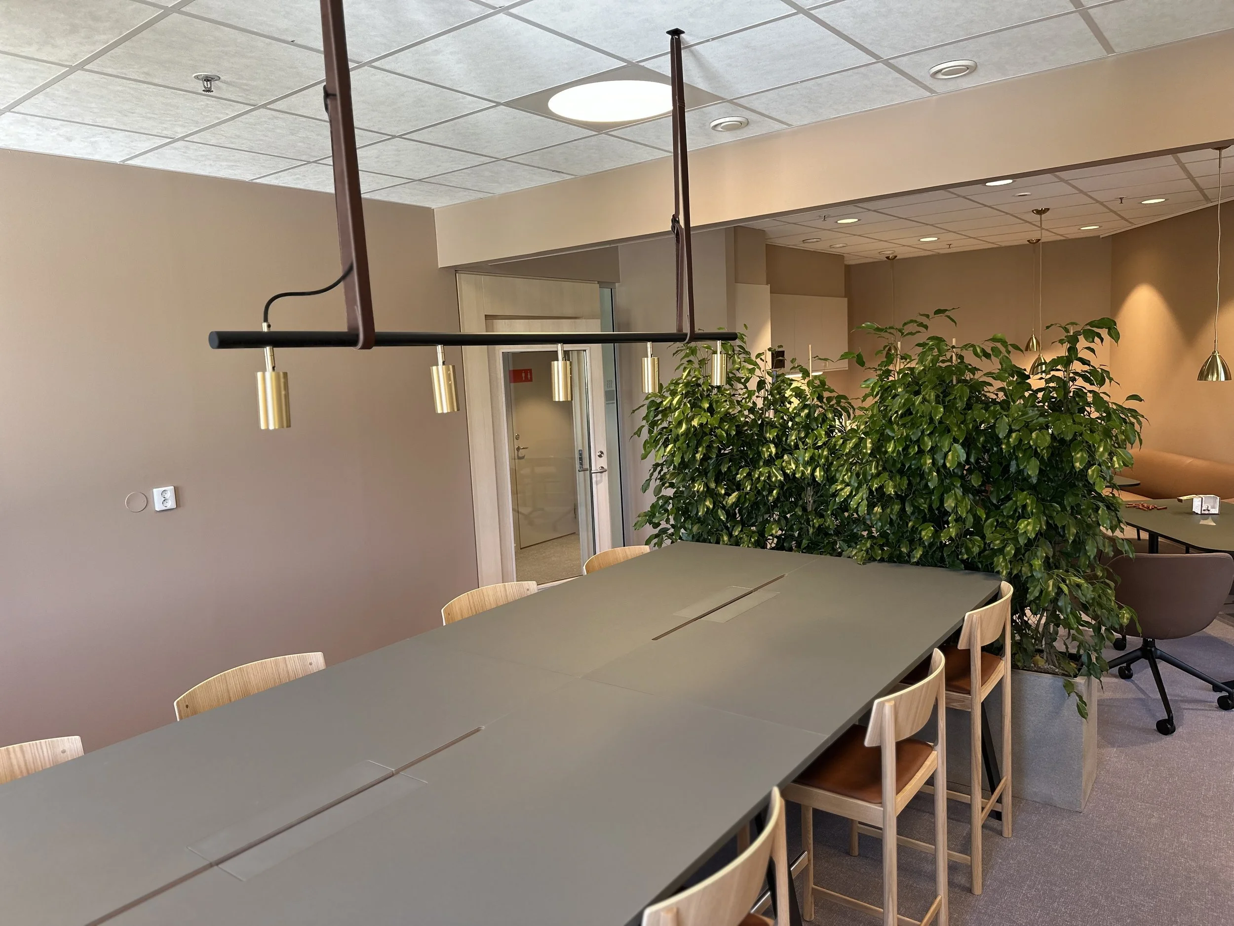 Touchdown på trean.jpeg