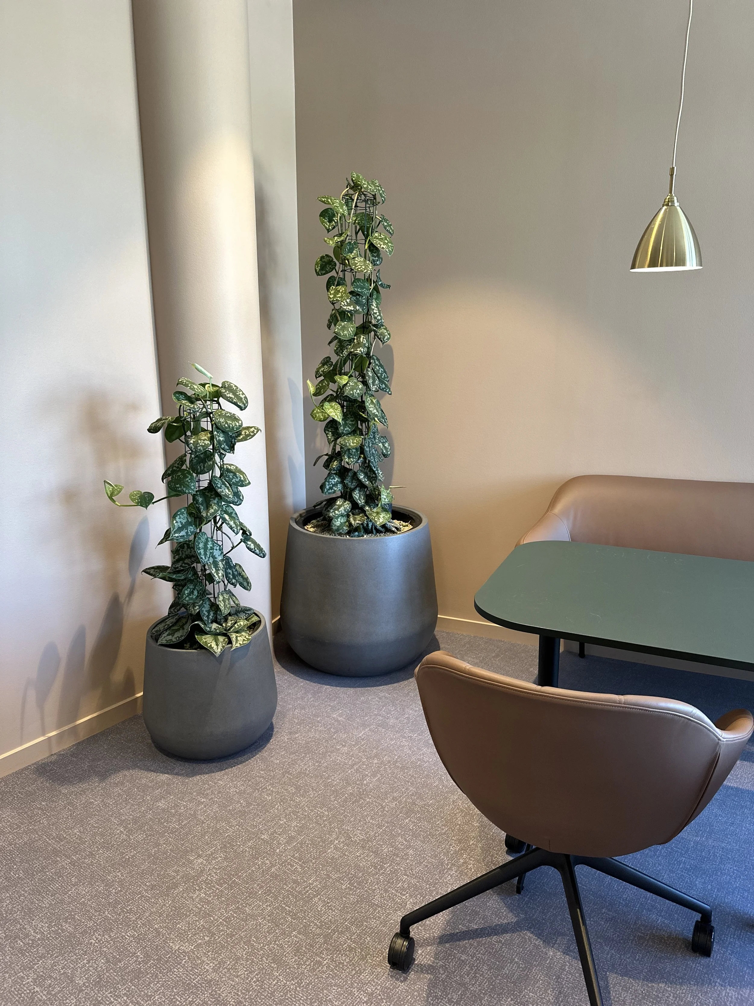 Växter i pentry.jpeg