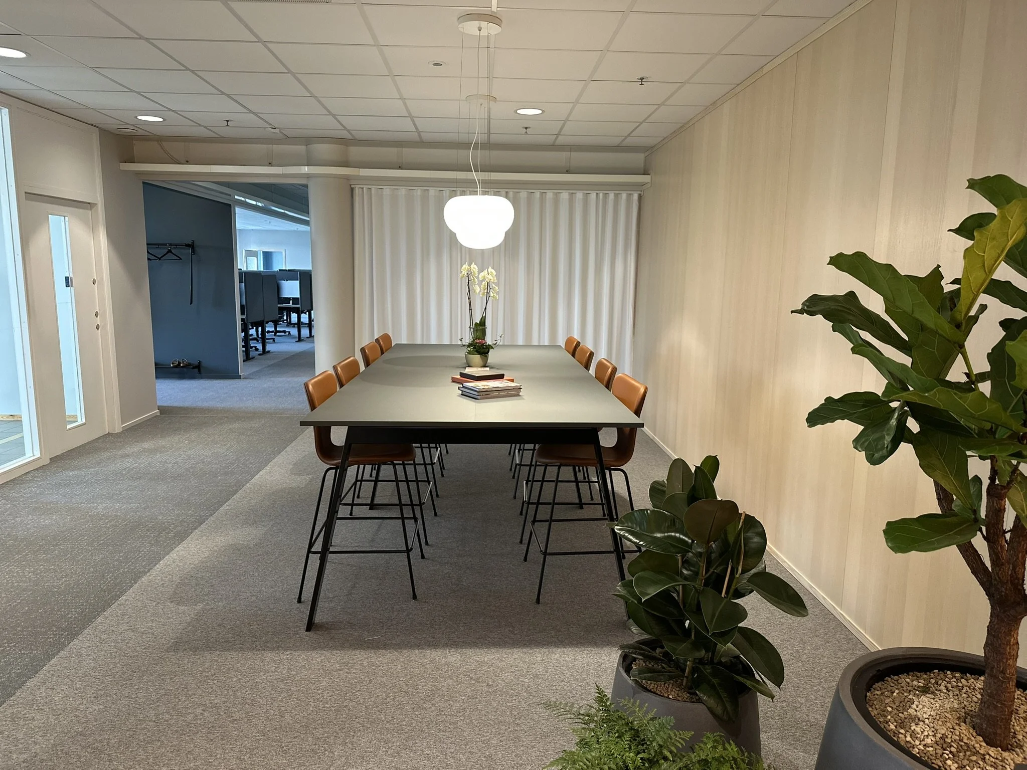 Touchdown reception 2.jpeg