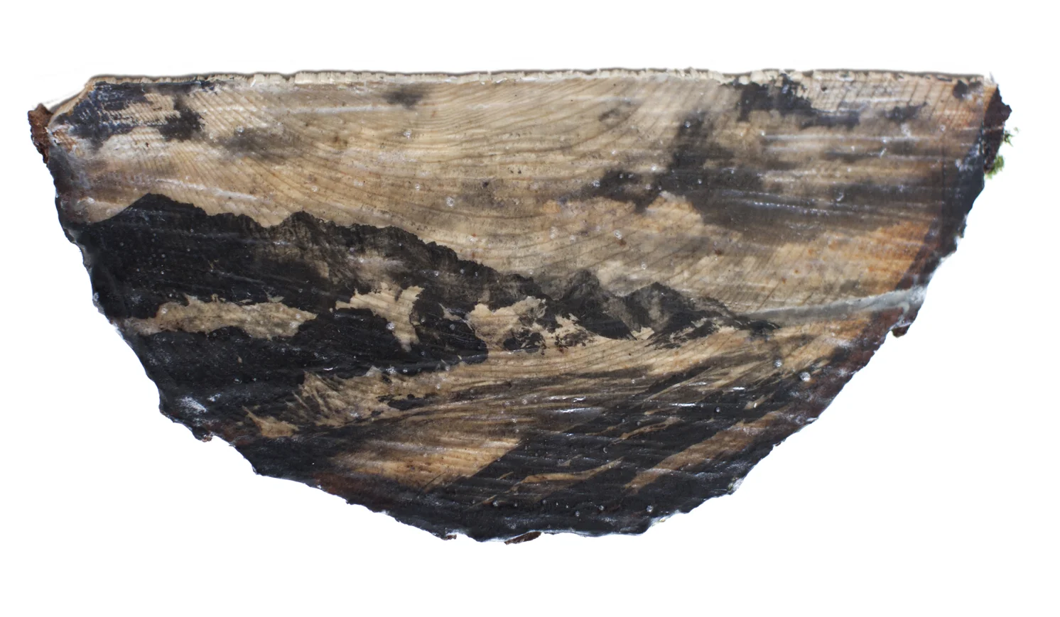 8_drhindr_30x15_cm_.jpg