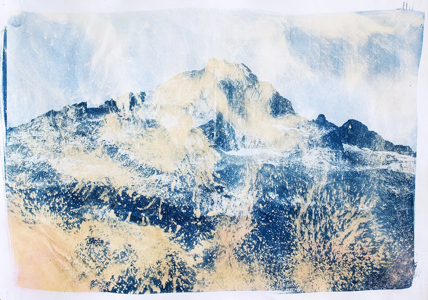 Wild Cyanotype with acid salt turmeric and more