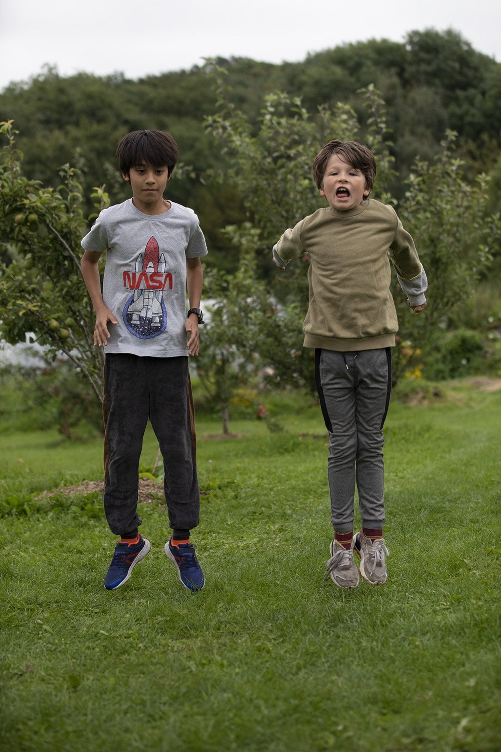 Our Mission — Good Food Matters