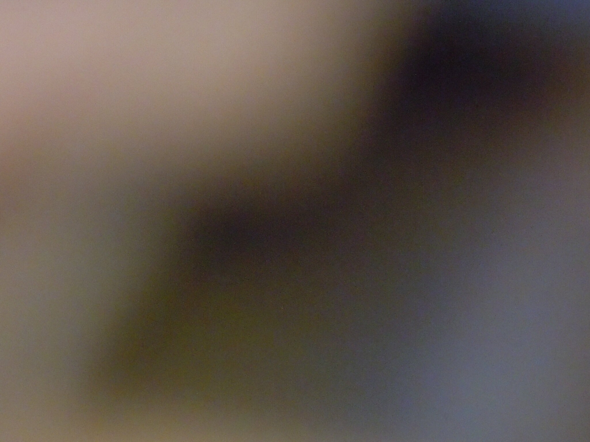 94.JPG