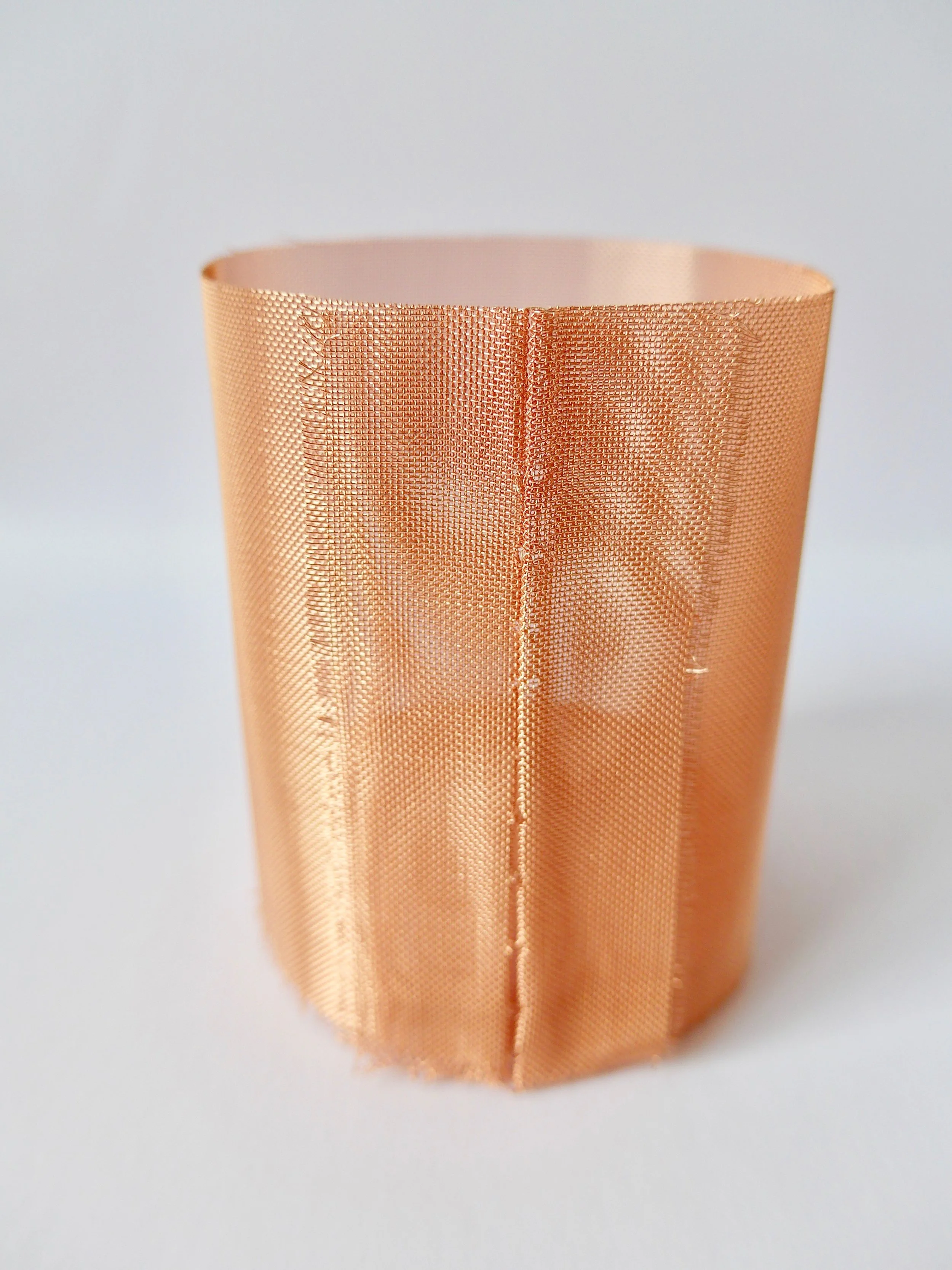 fine.mesh3.jpg