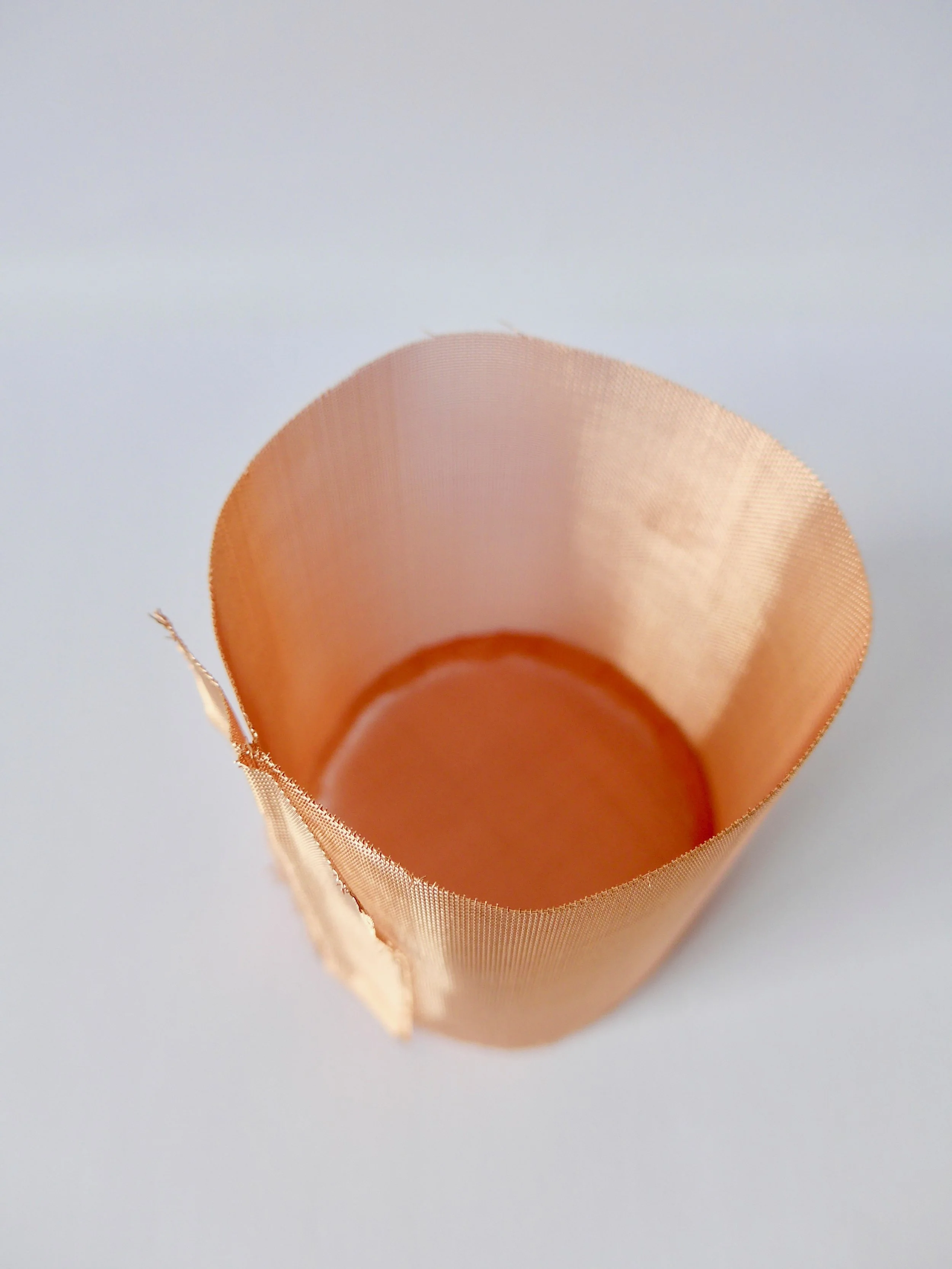 fine.mesh2.jpg