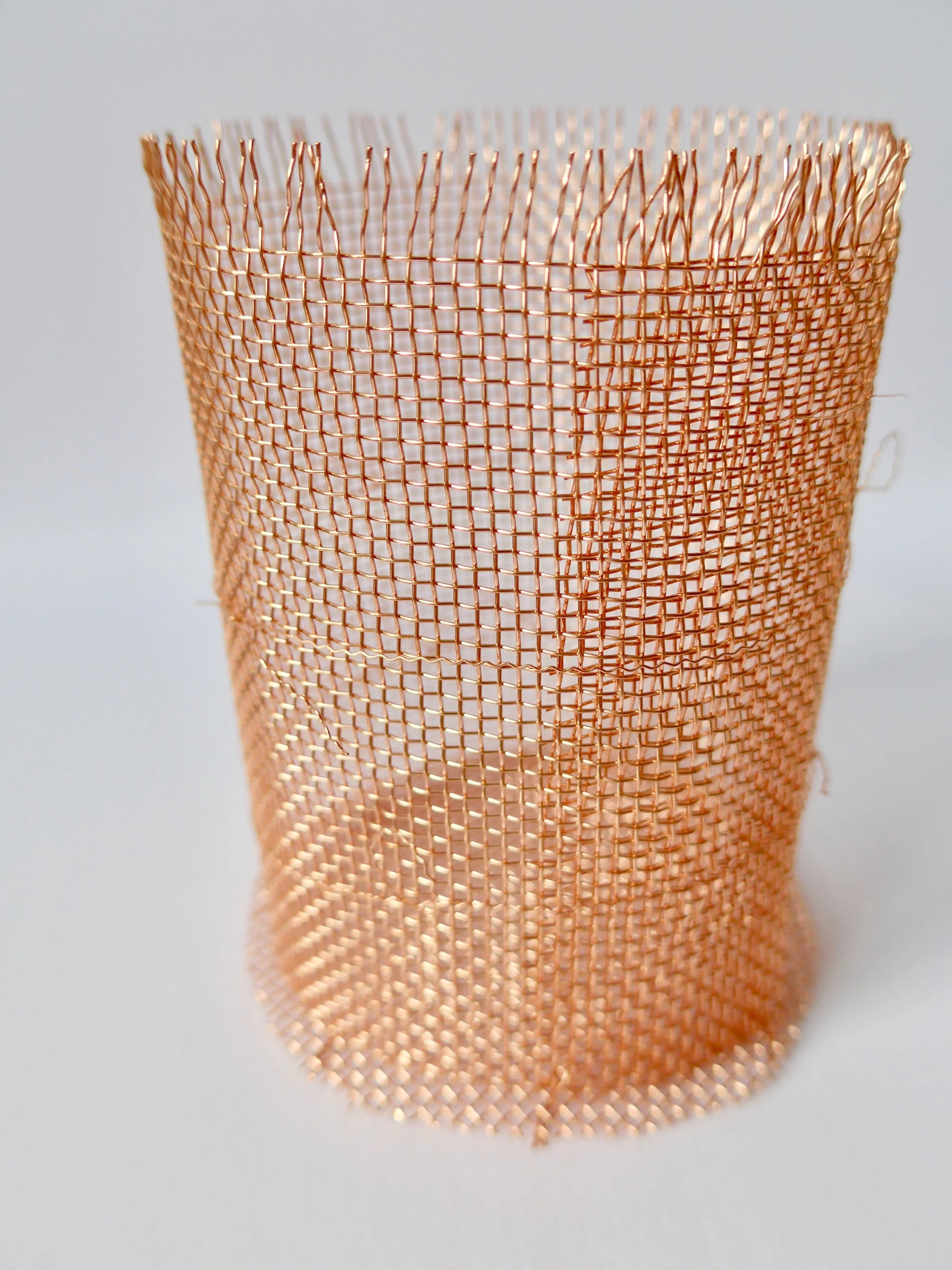 coarse.mesh2.jpg