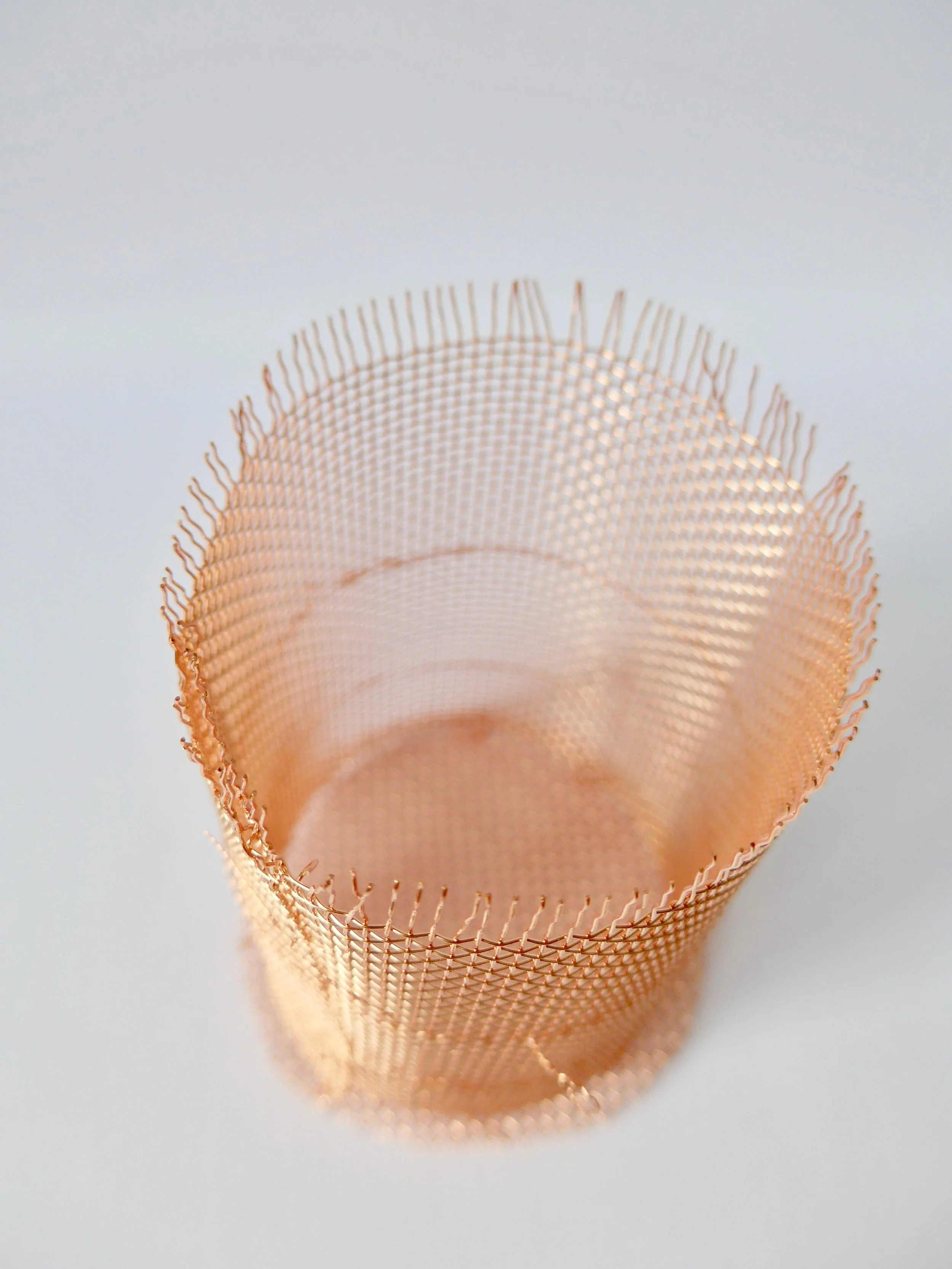 coarse.mesh1.jpg