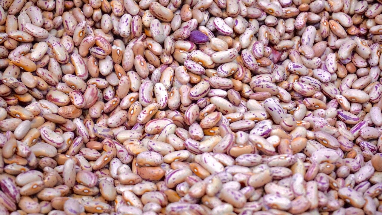 beige-and-purple-beans-176169.jpg