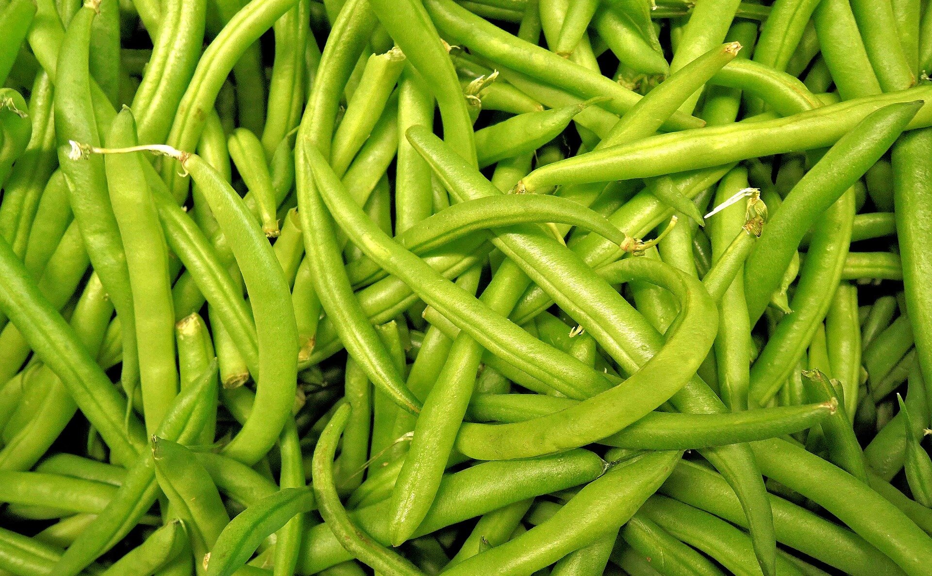 green-beans-1018624_1920.jpg