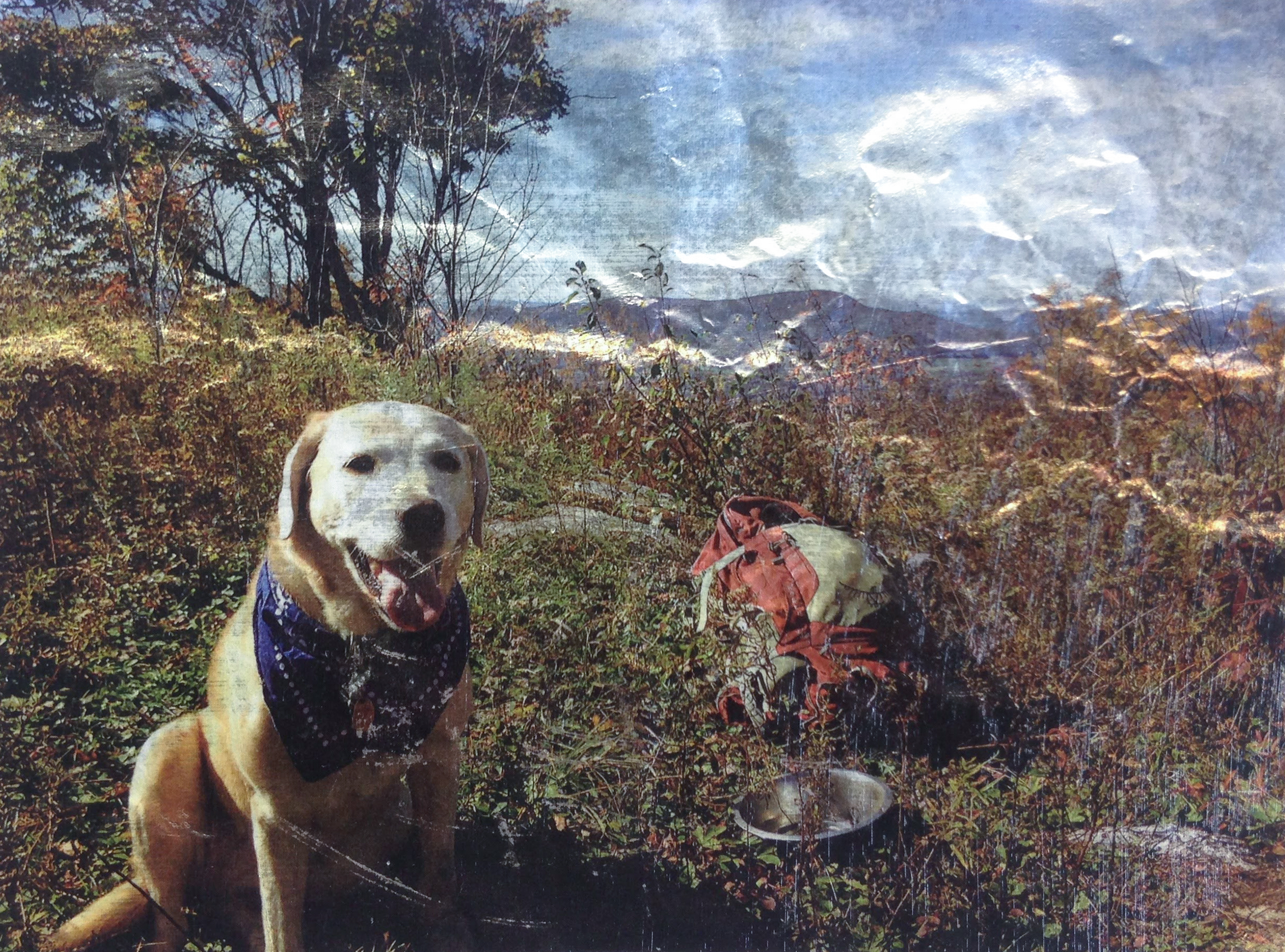 The Gilded Butter Bandit