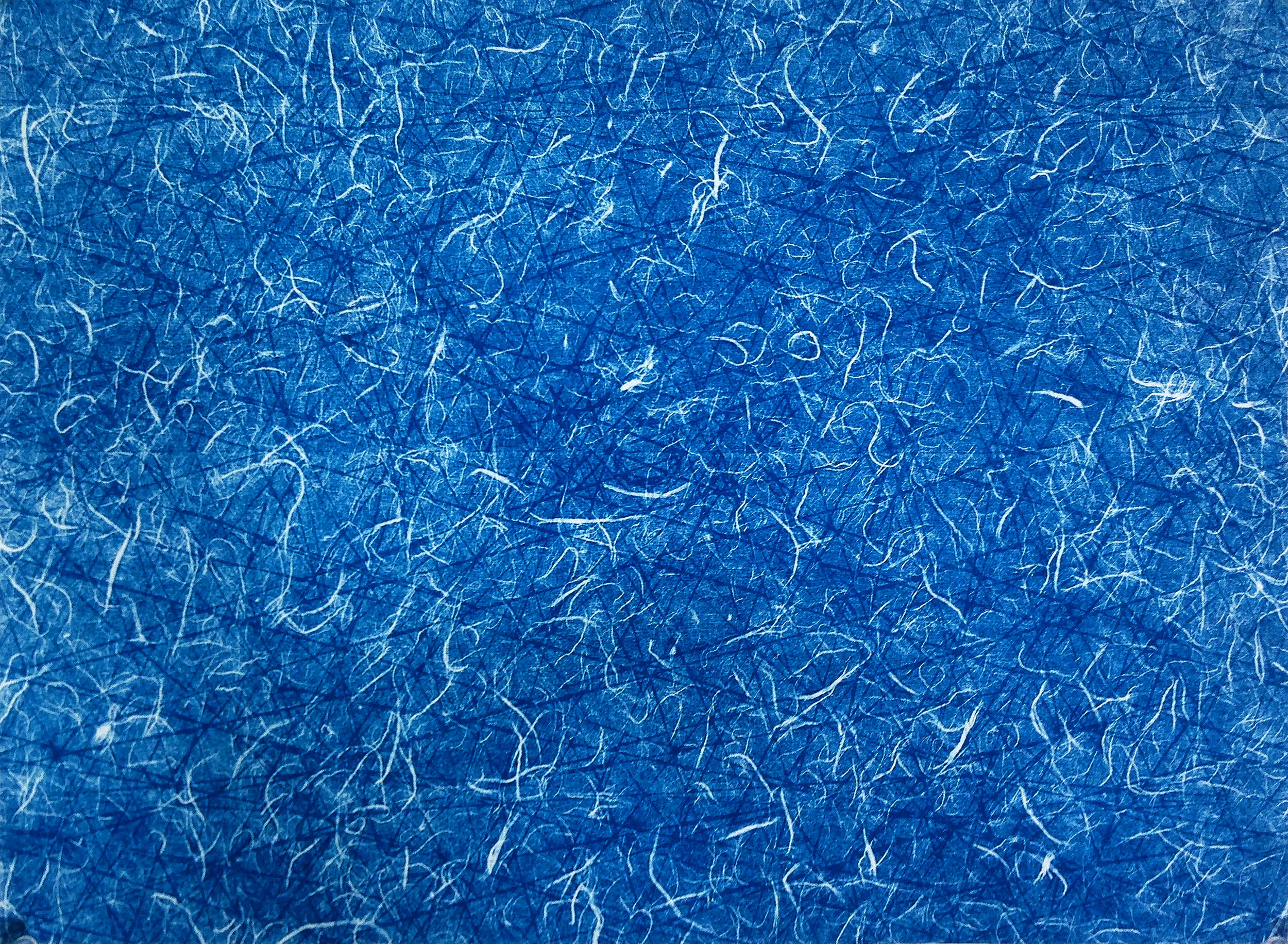 Blue Cosmos | Cyanotype on Mulberry Paper of Woodcut on Unryu Paper | 15 in. x 20 in. | 2018