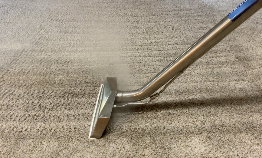 A Million Reasons to Scrub Your Carpet