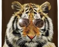 Week Two - Eye of the Tiger
