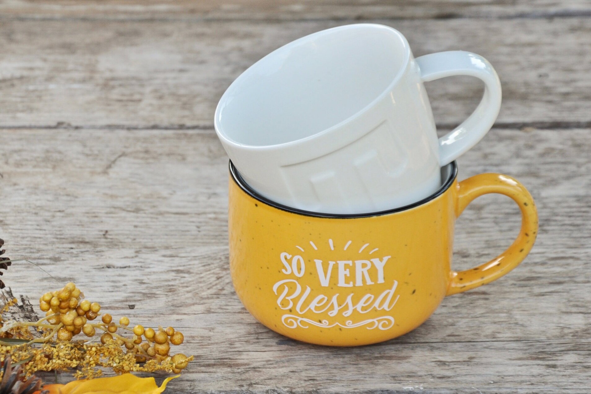 Blessed Are We Who Can WFH