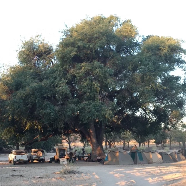 ehra_family_campsite.JPG