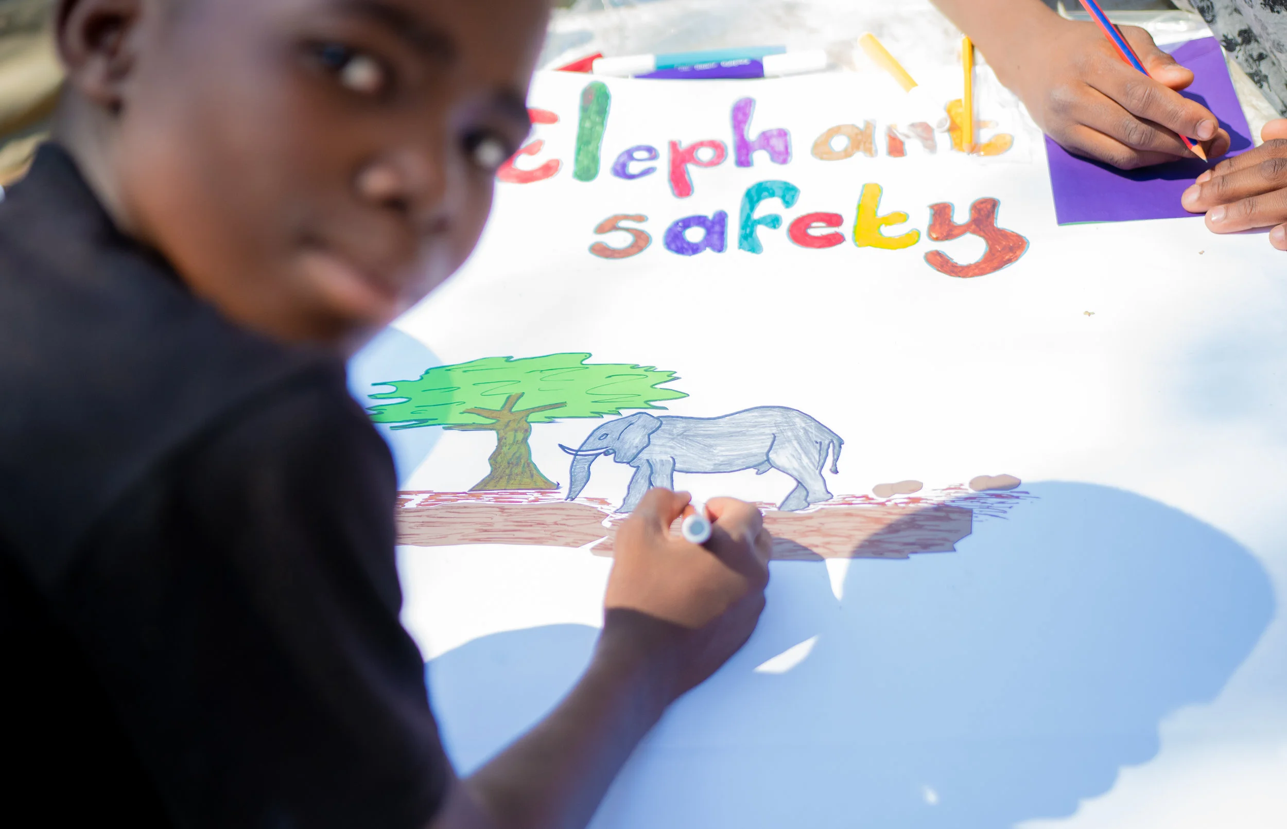 elephant_safety_training-ehra.jpg