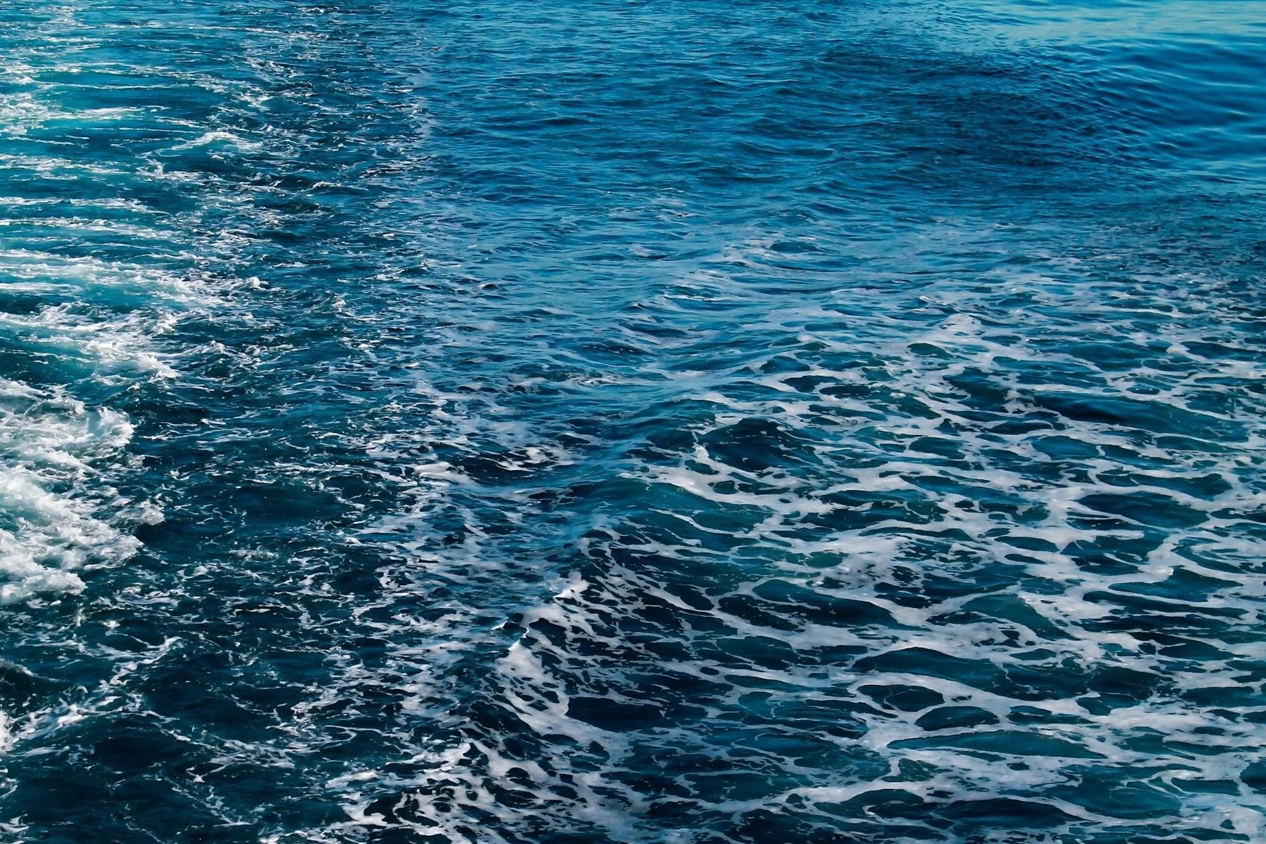 Blue ocean water with a foamy boat wake.