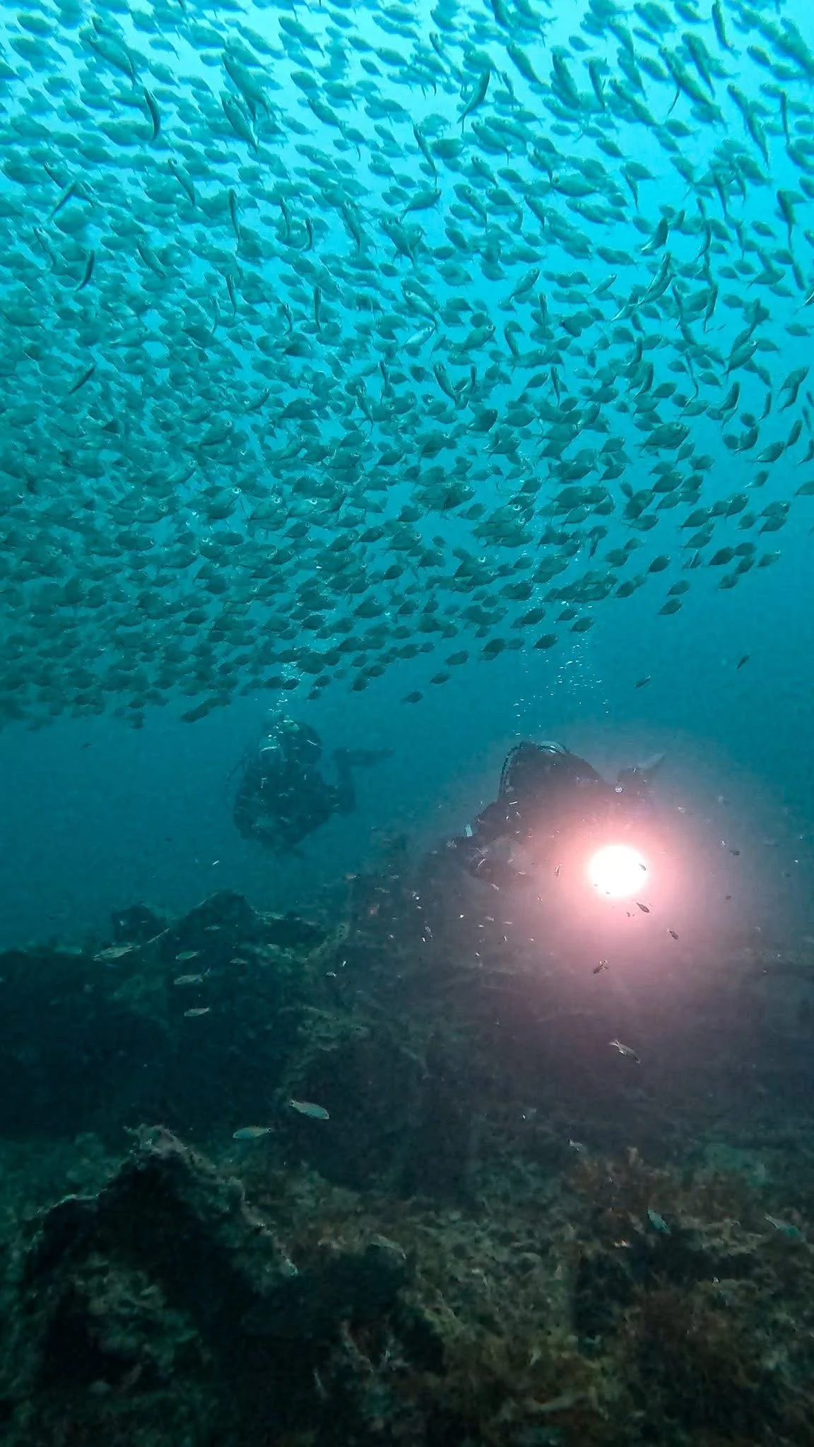 Two scuba divers exploring underwater surrounded by a school of small fish, with sunlight shining through the water.