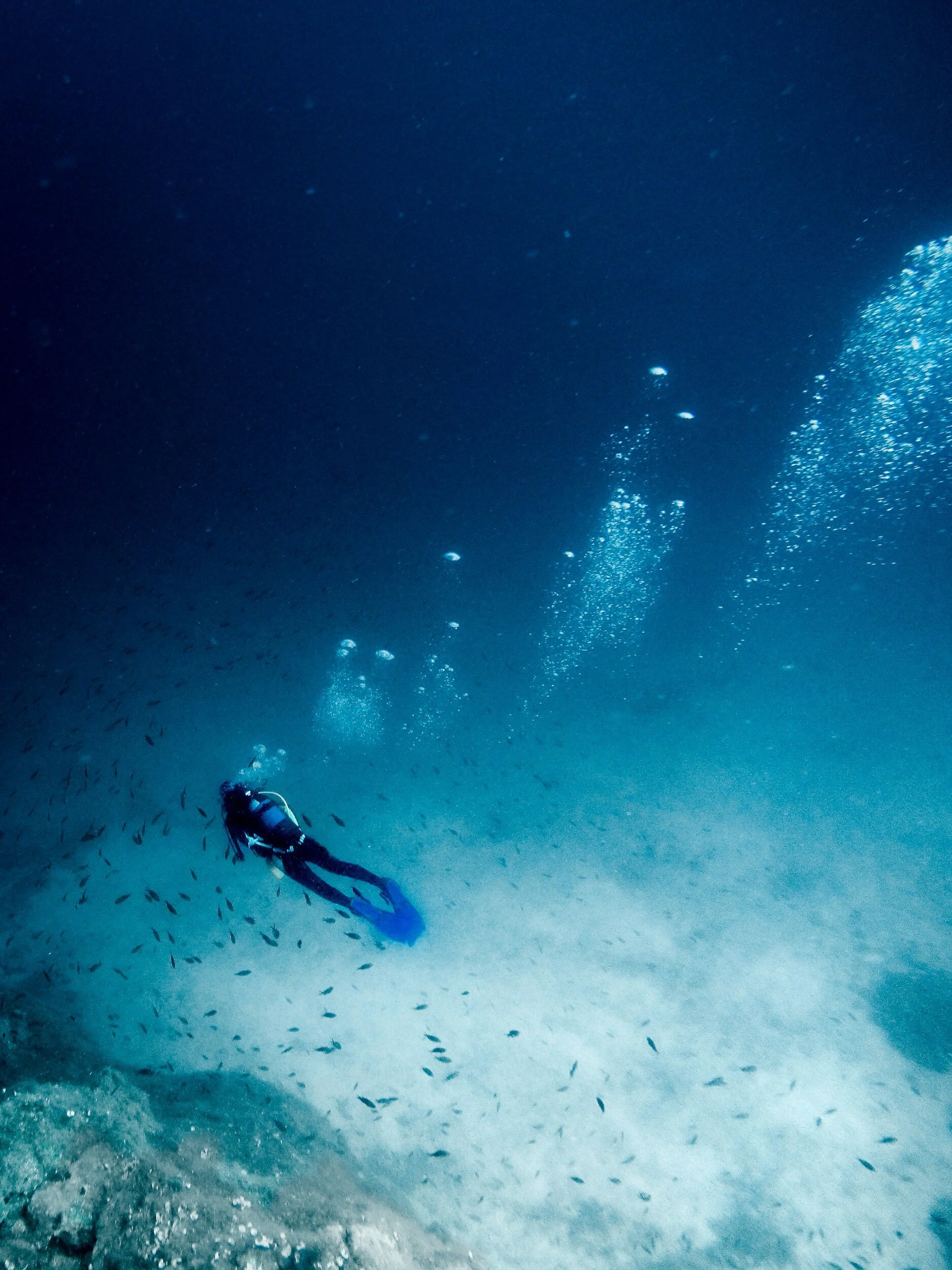 scuba diver diving learn to dive instruction travel