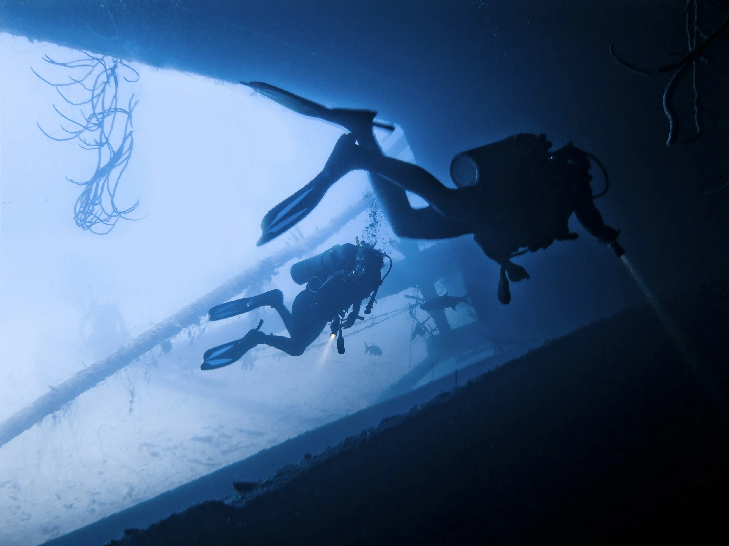Two scuba divers swimming underwater near a submerged structure with some plants and small fish.
