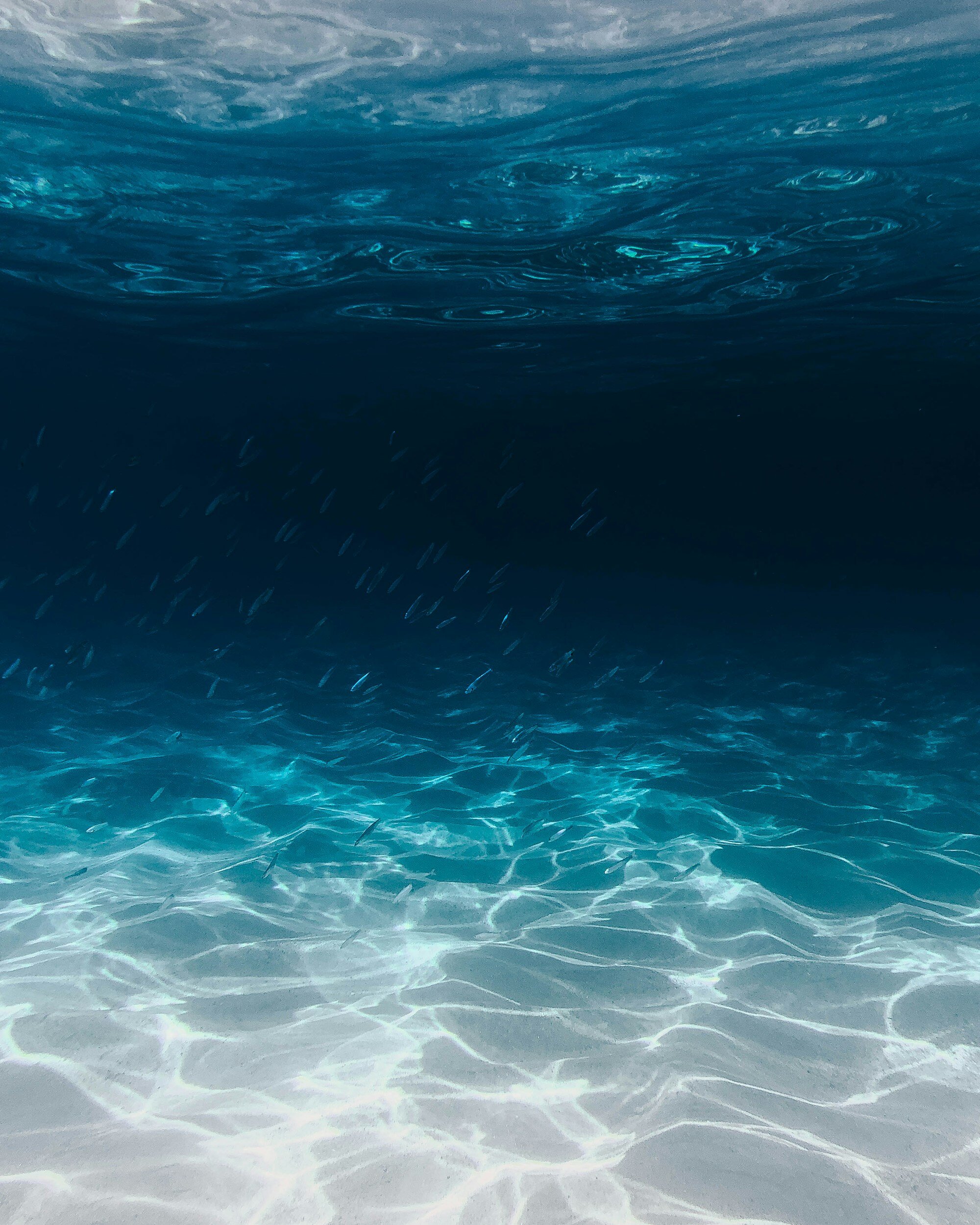 Underwater scene with sunlight reflecting on the sandy ocean floor and a school of small fish swimming in the dark water layer above.