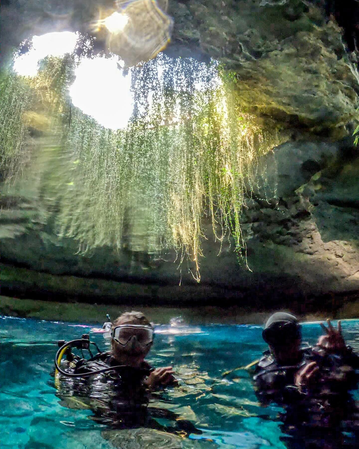 Good times at @devilsdenspring 🔥🫧
.
#freshwater #springs #scuba #diving #dive #travel #adventure